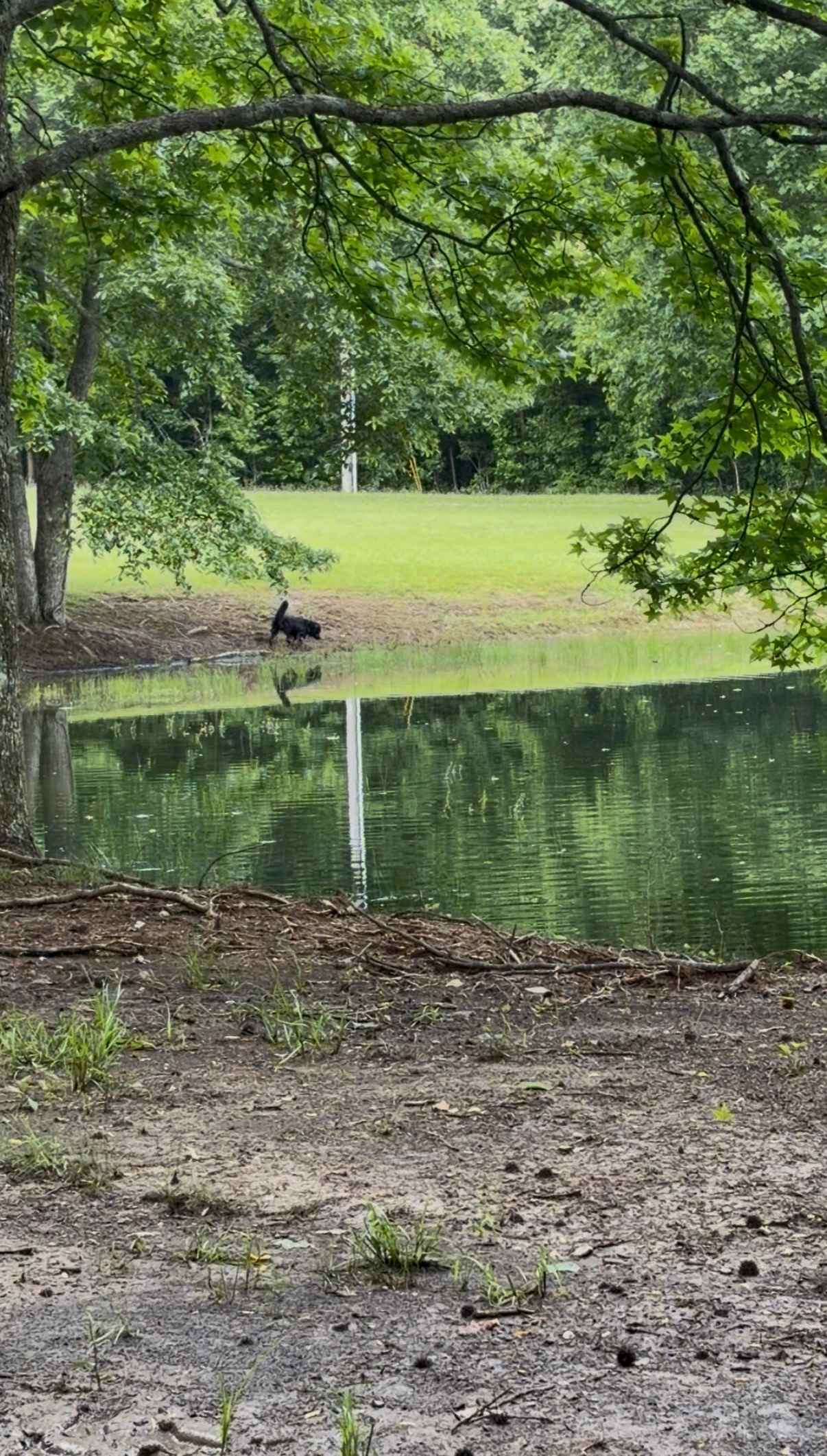 The Ole Place