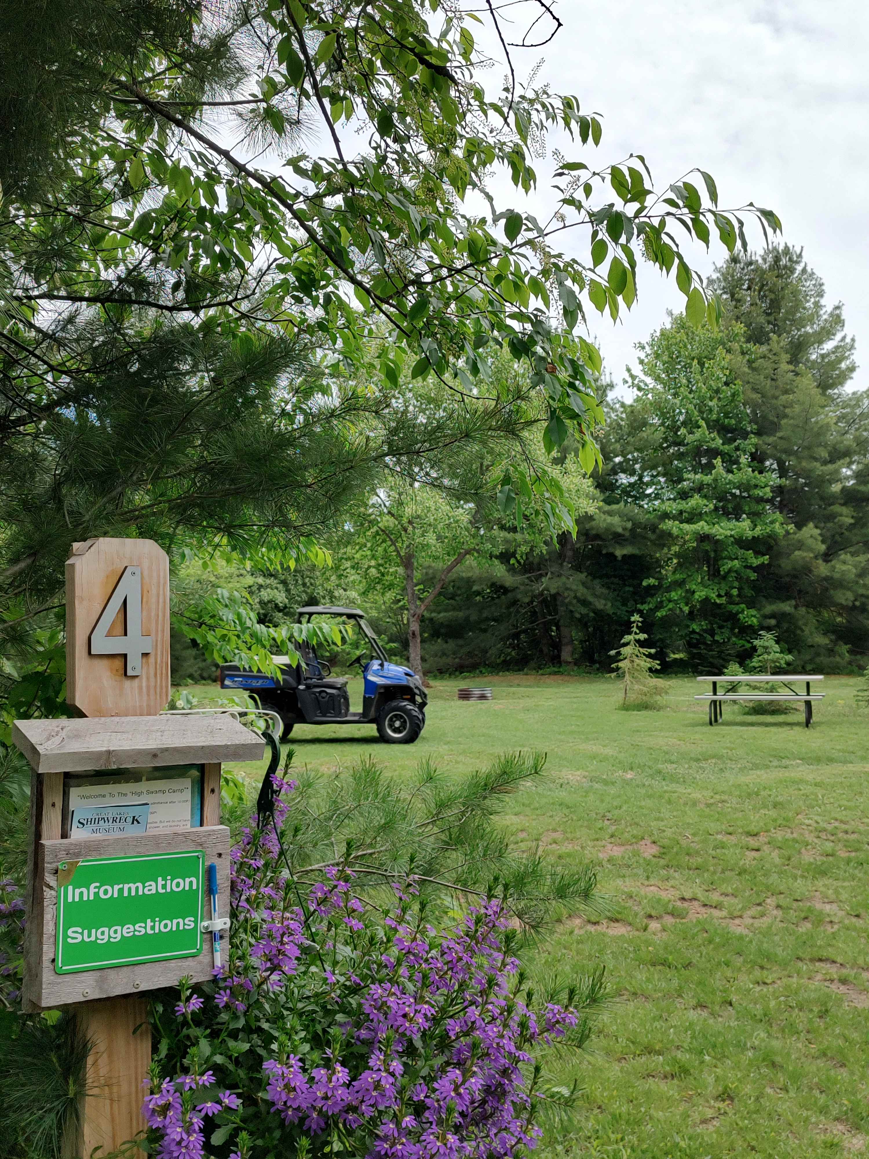 Picture of the site