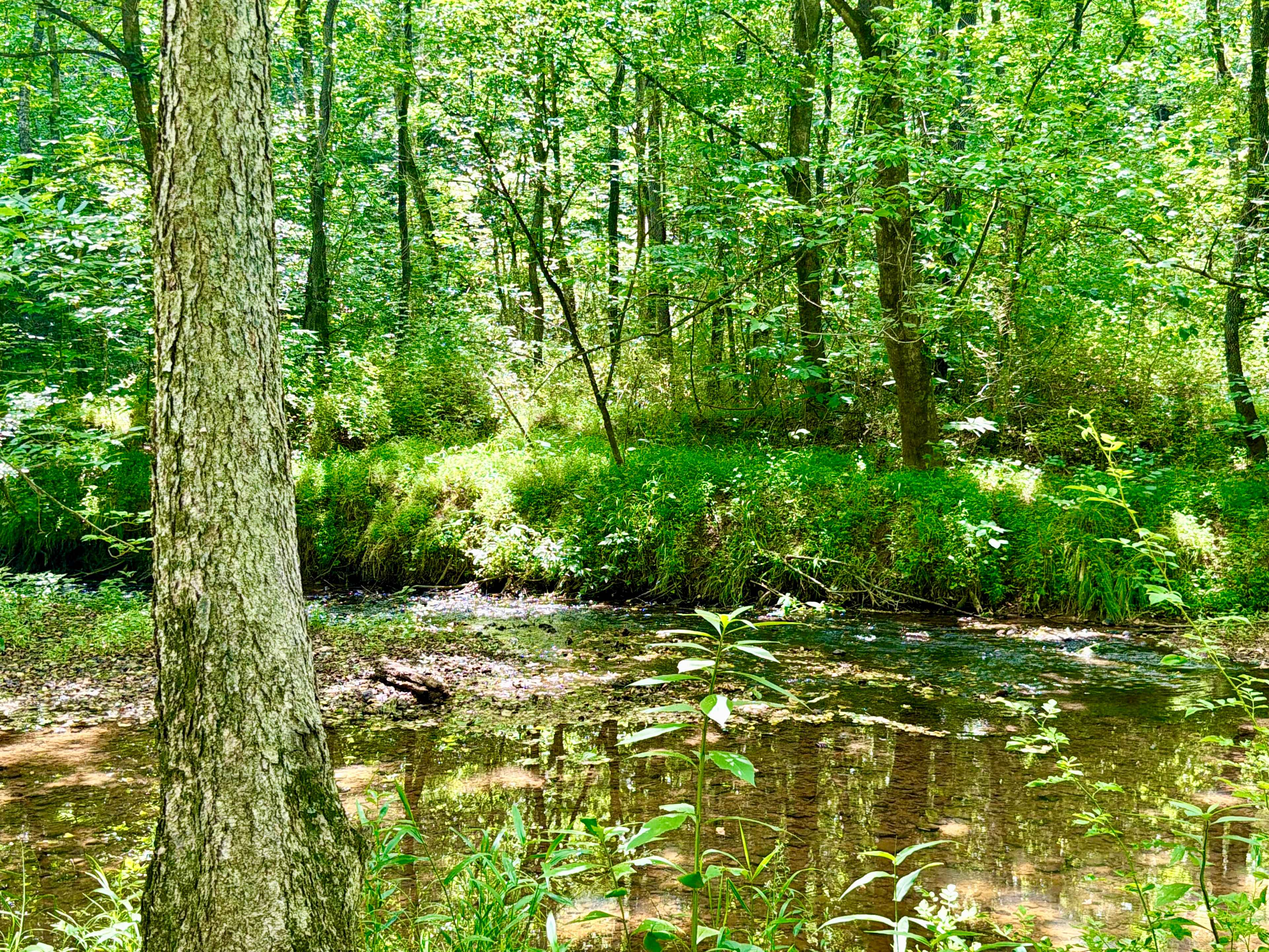 The Oasis at Harmon Creek Farms