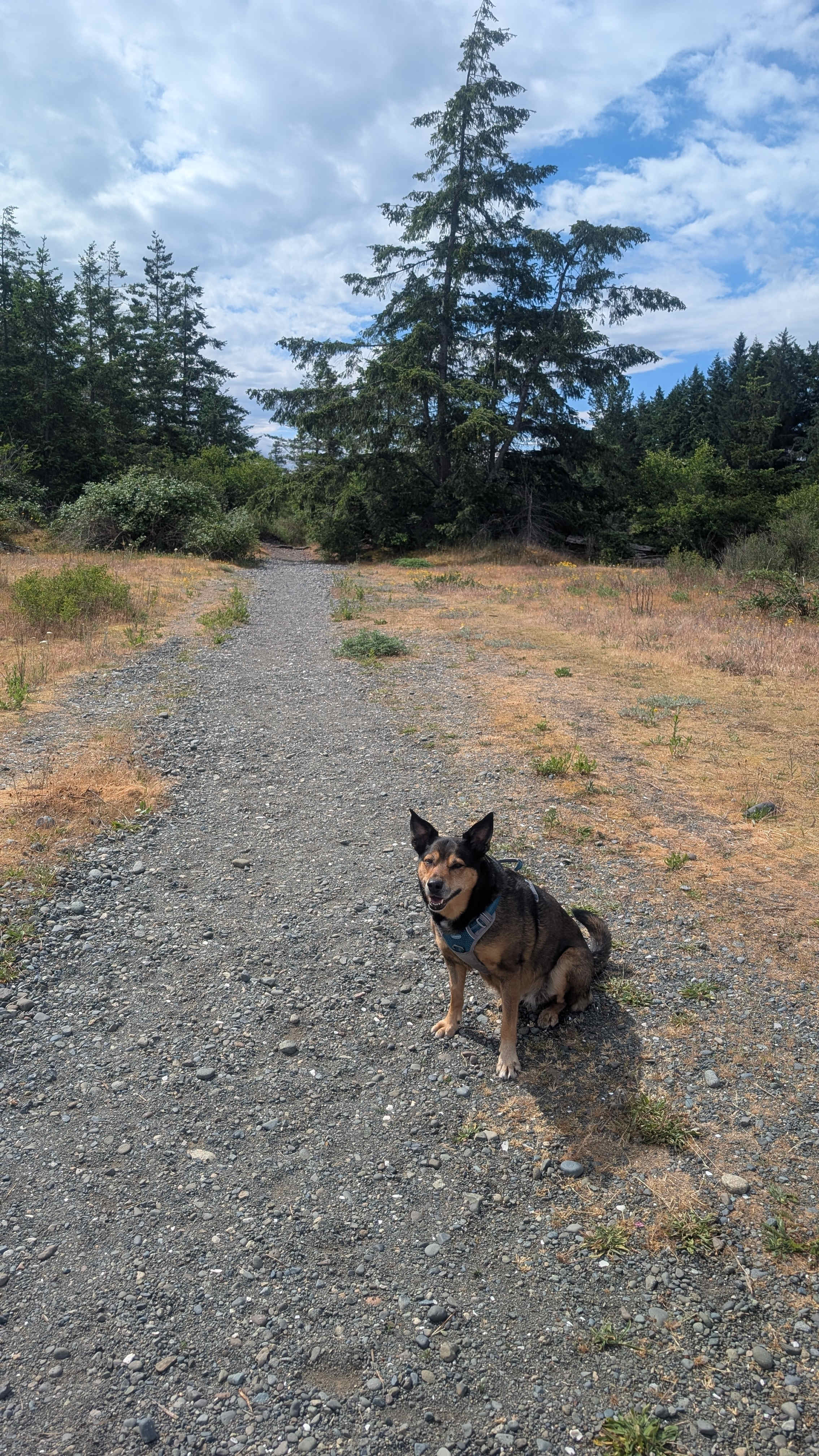 Field Sites & Secluded Tent Sites
