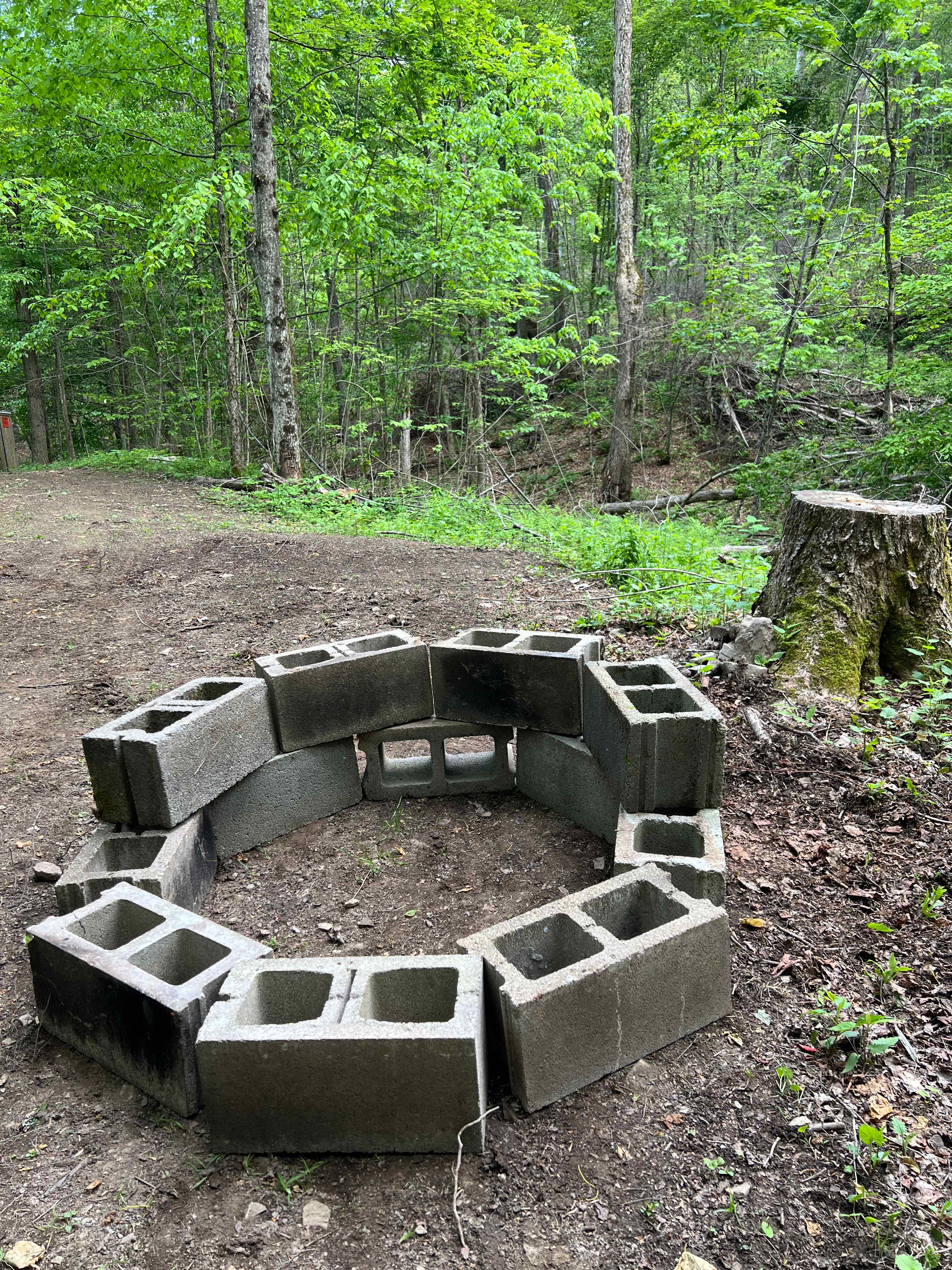 Picture of the site