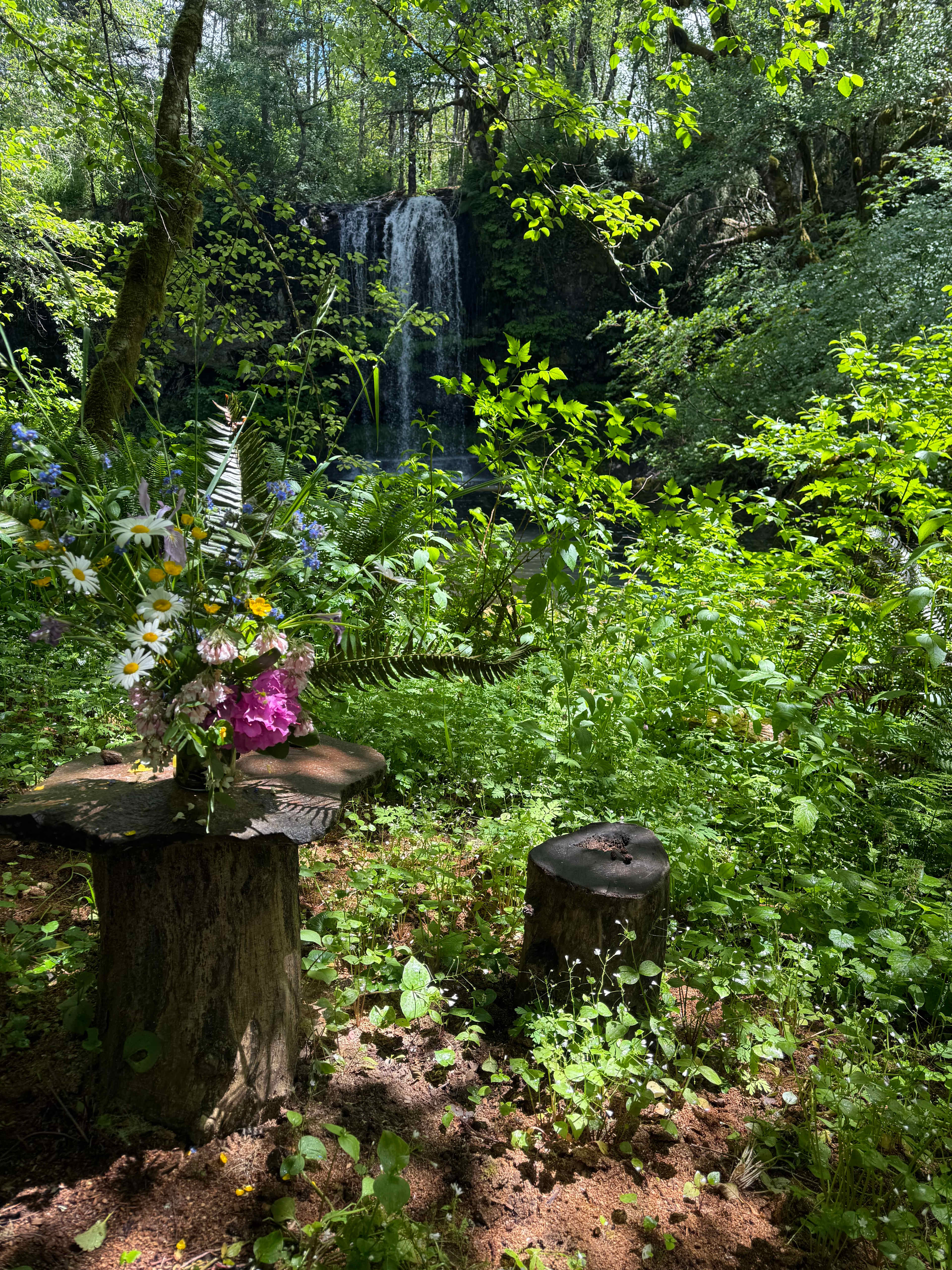 The Falls at Elk Prairie