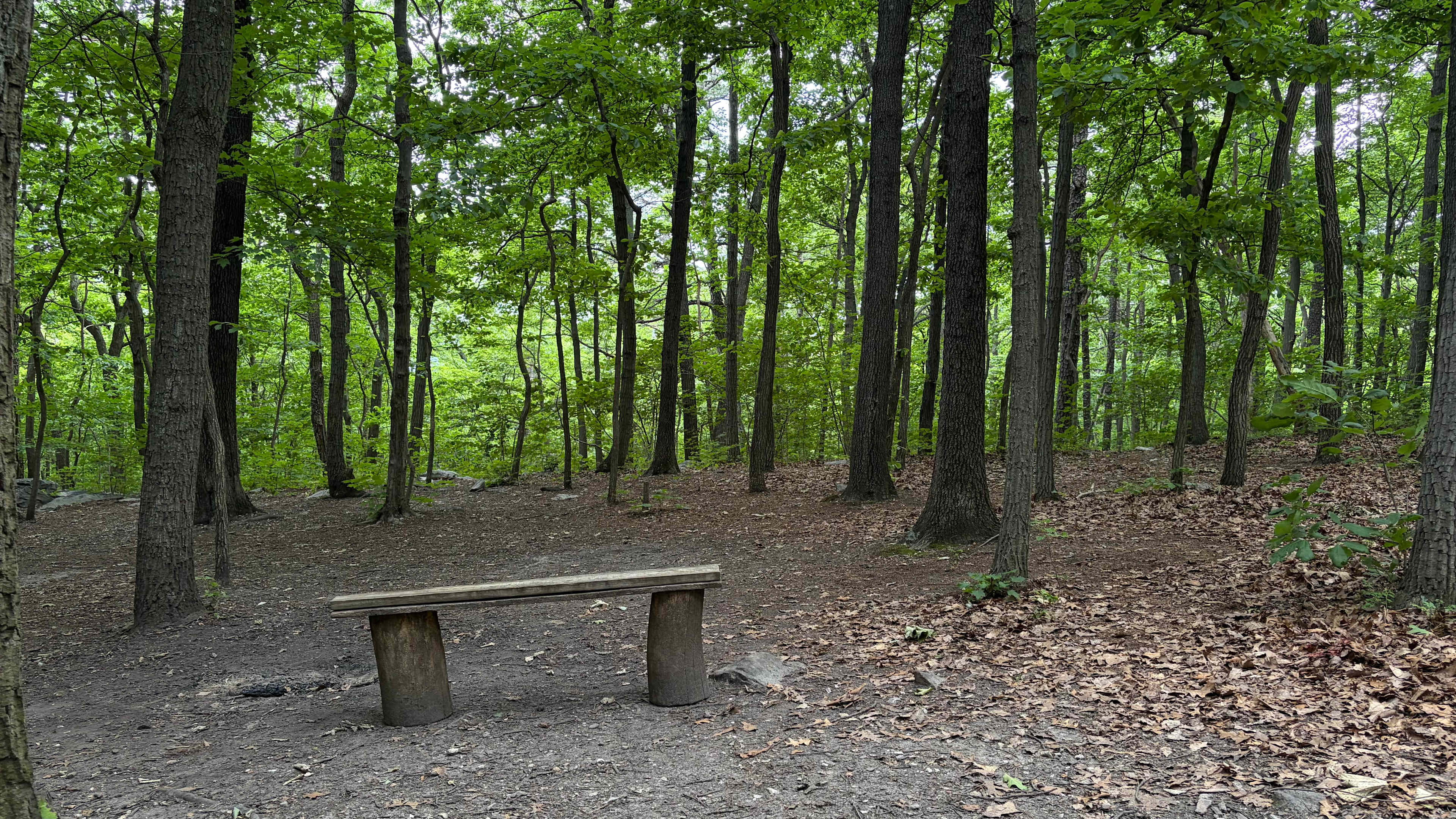 Site #5