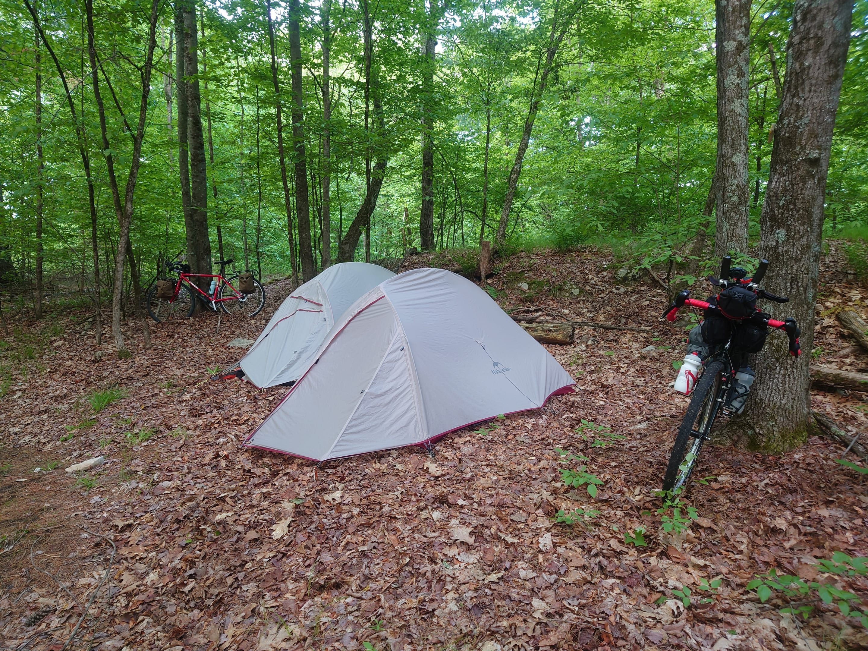 Meadow Lane Campground