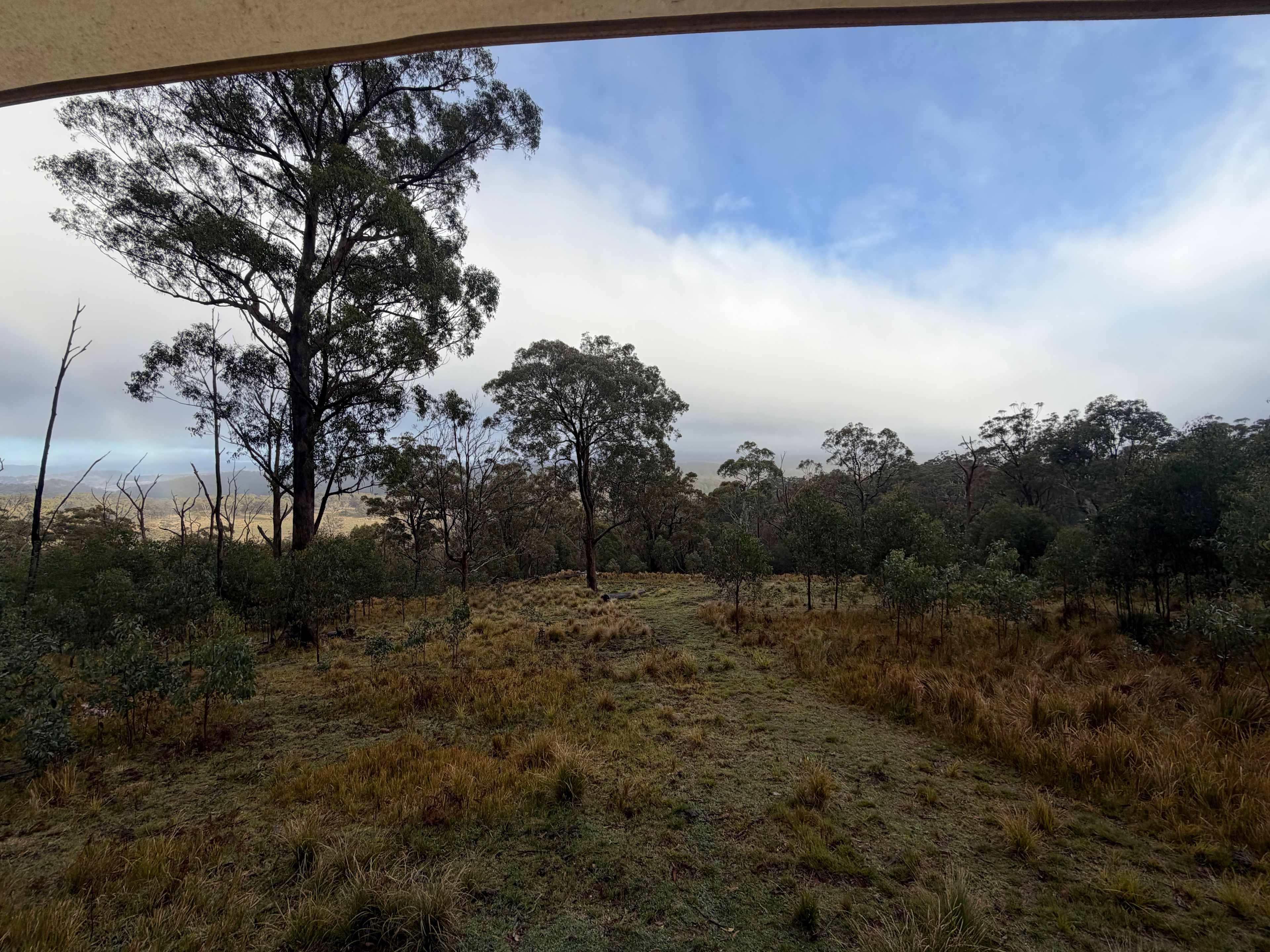 BAJIMBA Eco Camping and Farm Stay