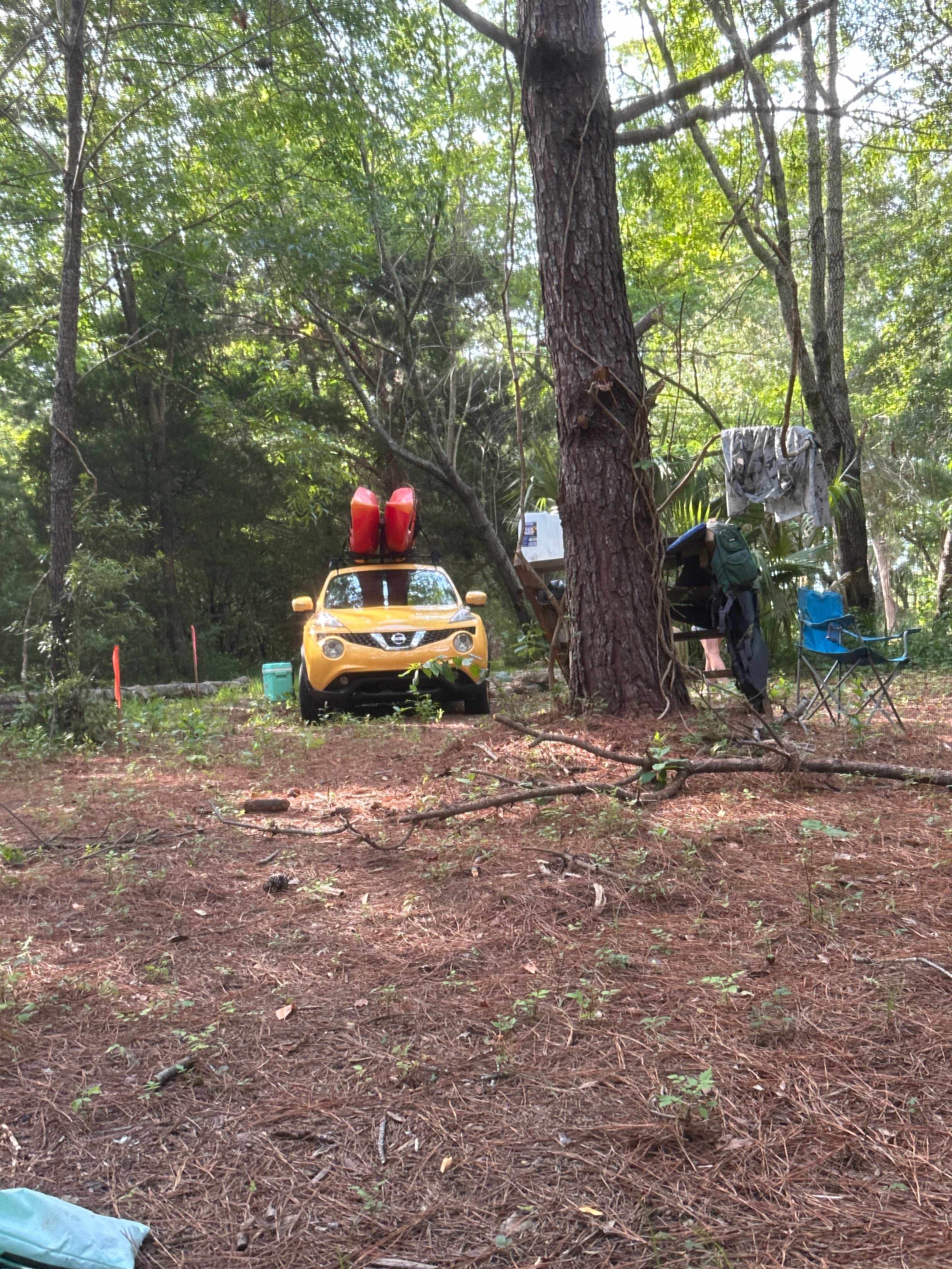 Edisto Maritime Forest Camp