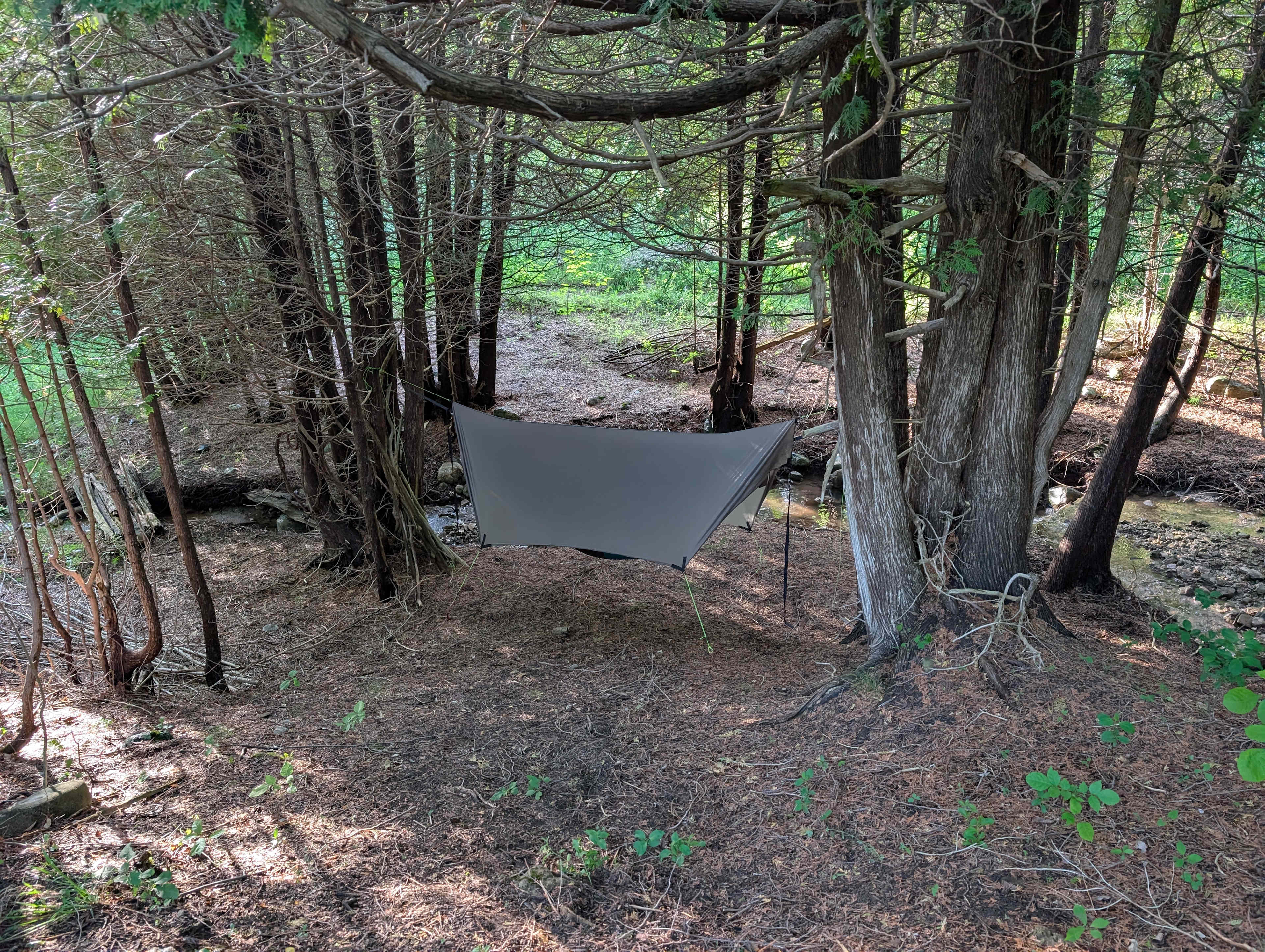 Hammock by the creek with fireflies and cedars and views of old baldy.