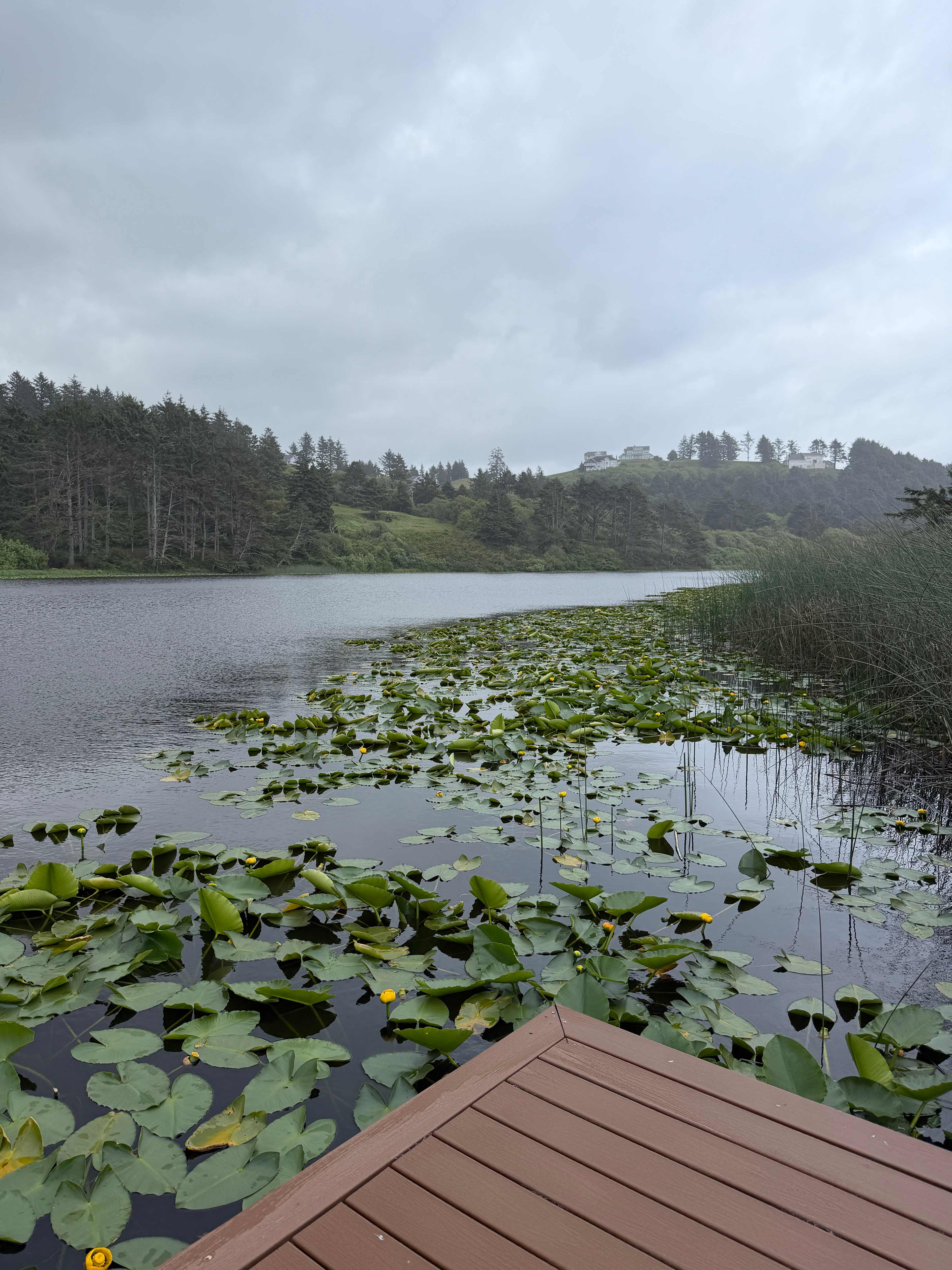 The Lake Pasture