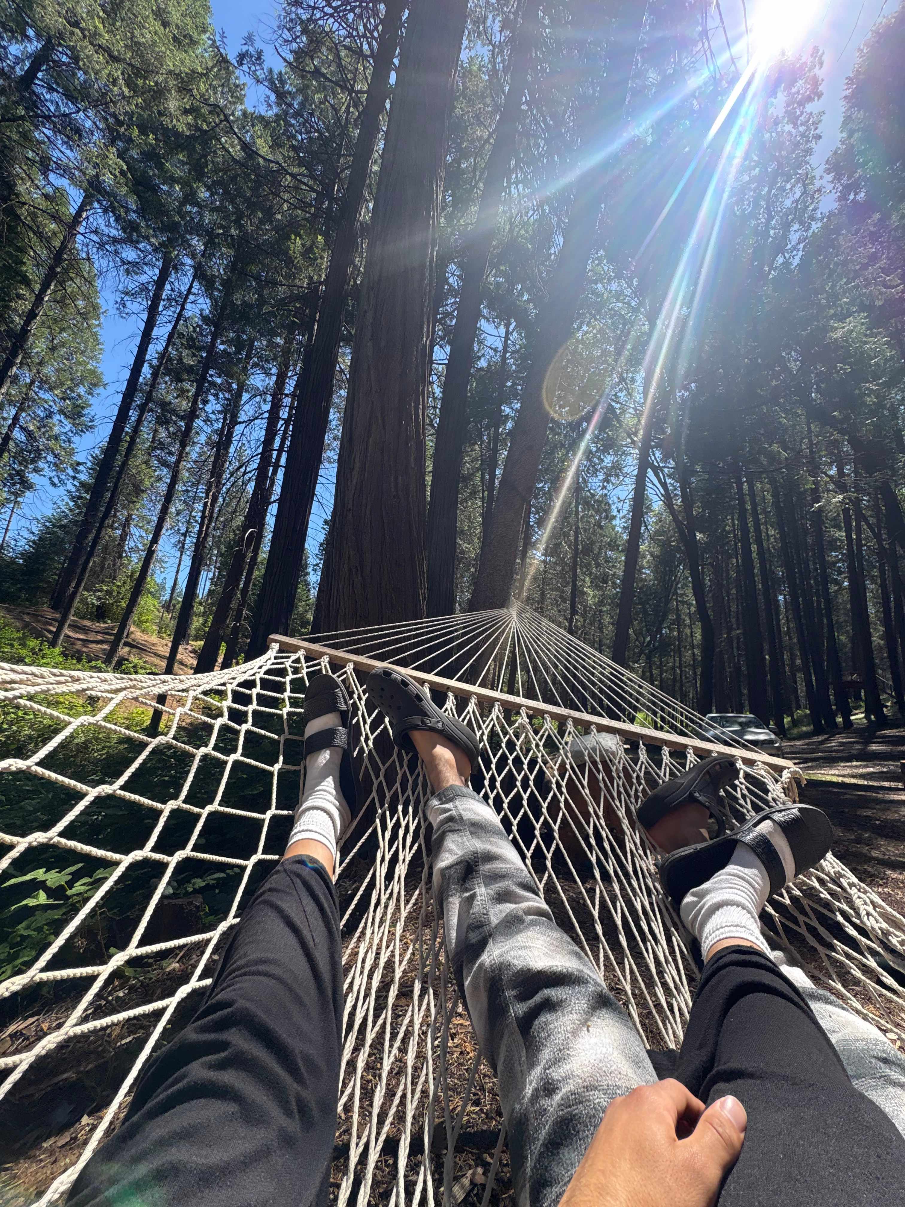 Unplug for nature, dogs, and kids