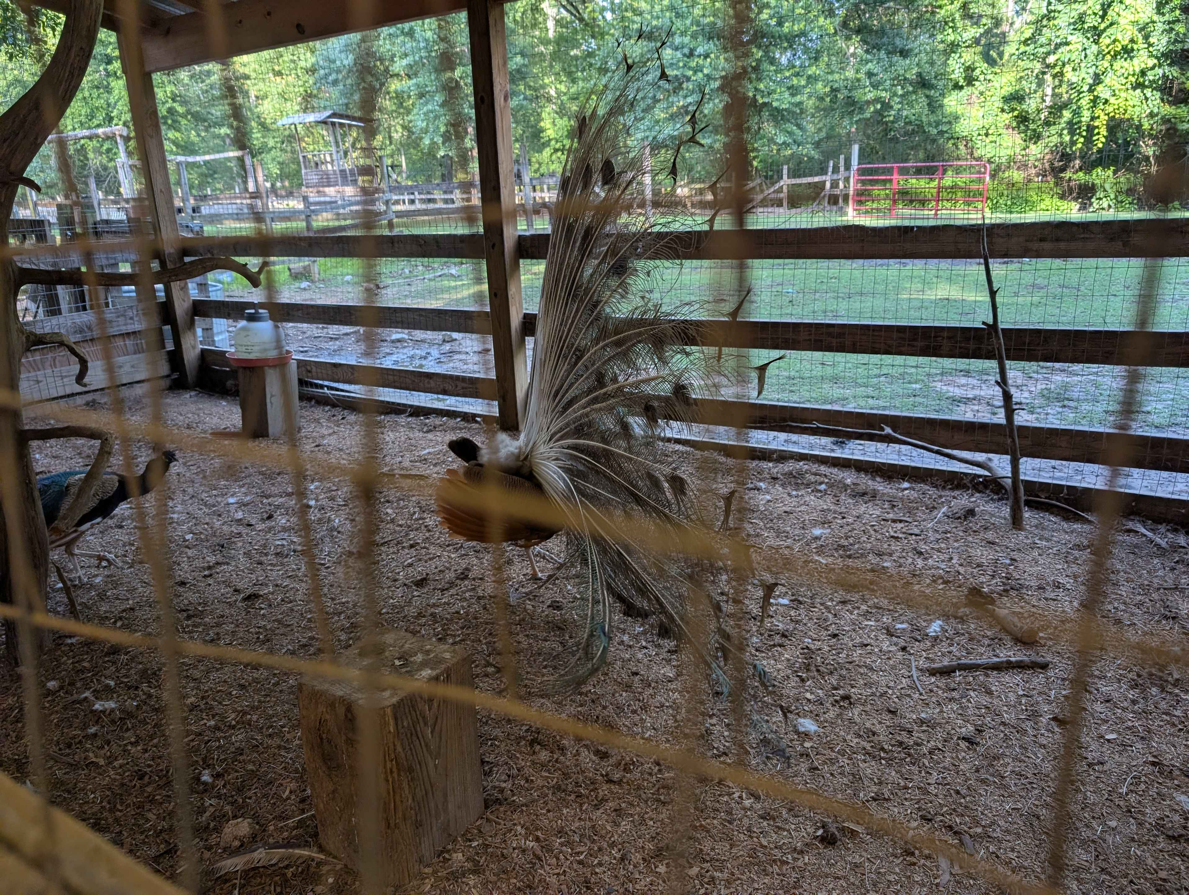 The Ranch