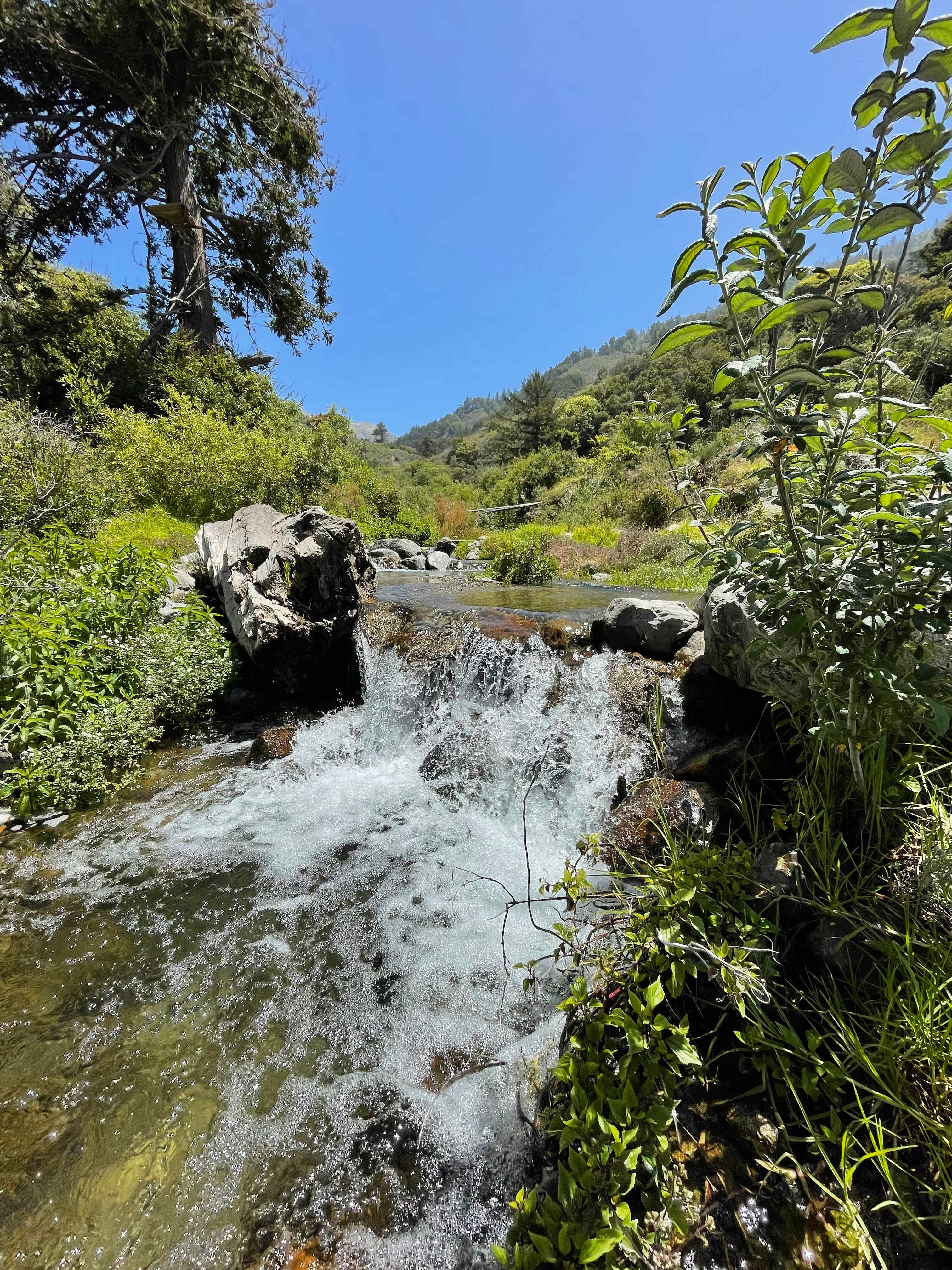 dabudage Big Sur