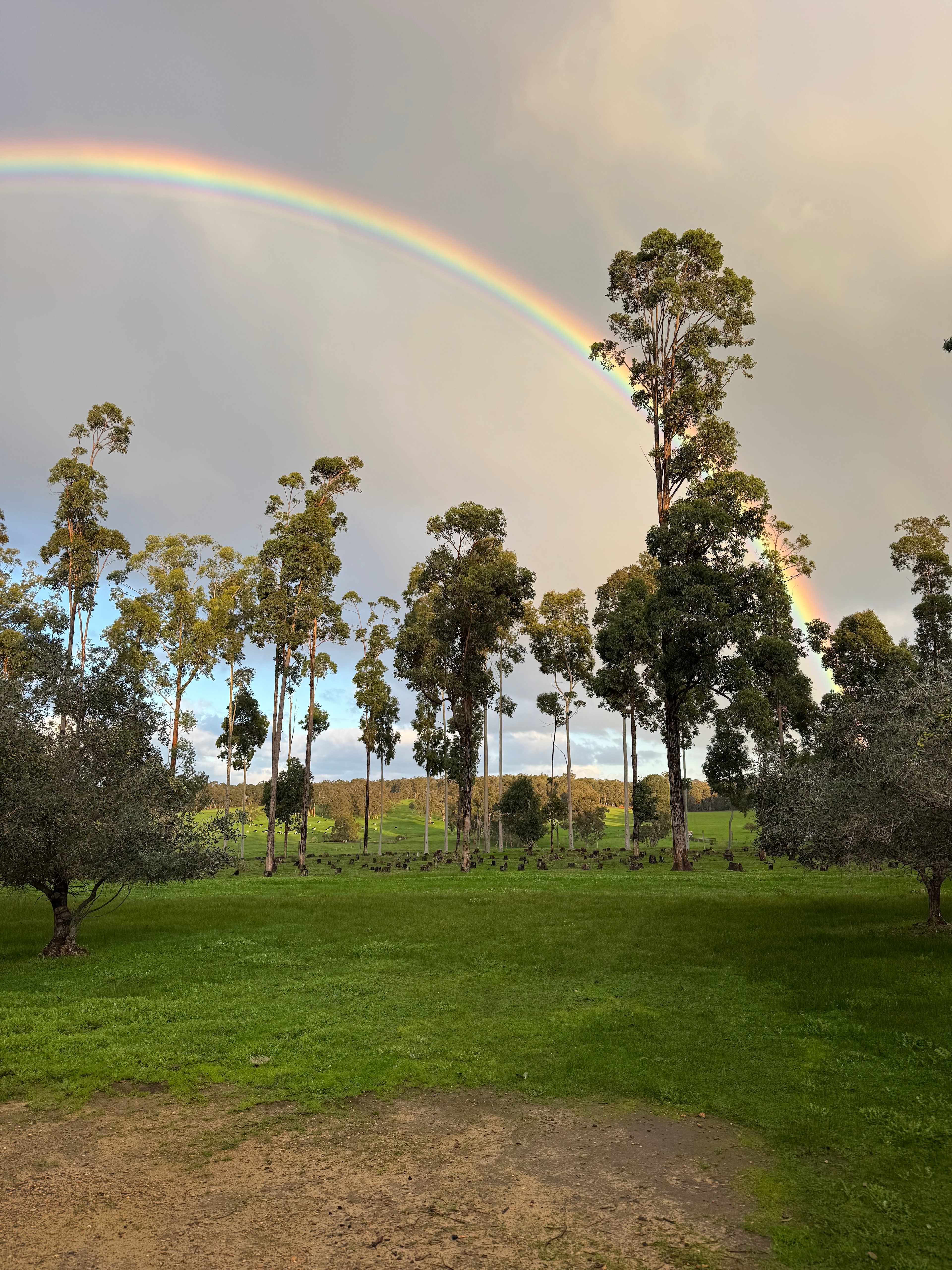 Olive Hill Farm RV Campground Margaret River