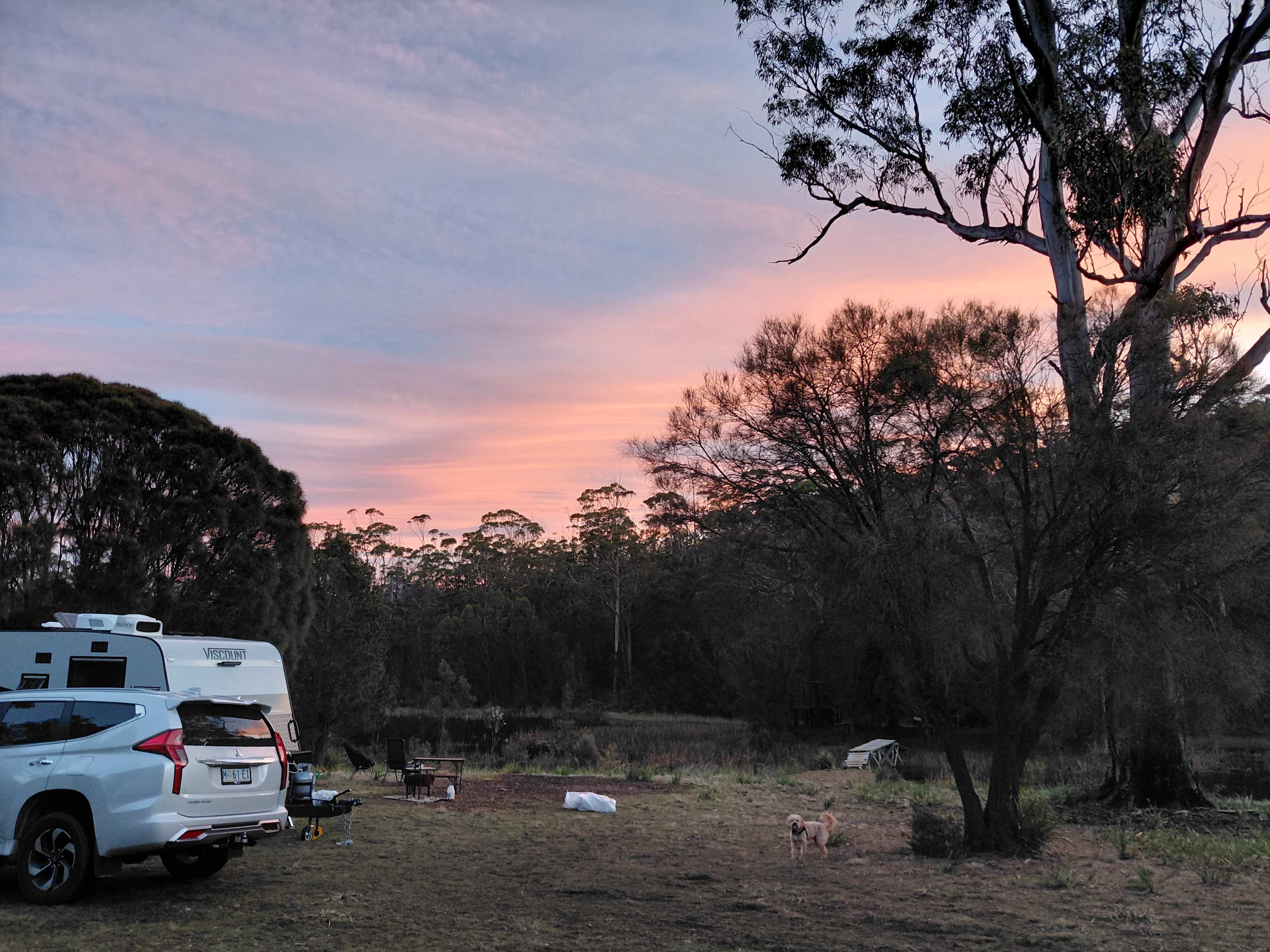 Bicheno Pine Ridge