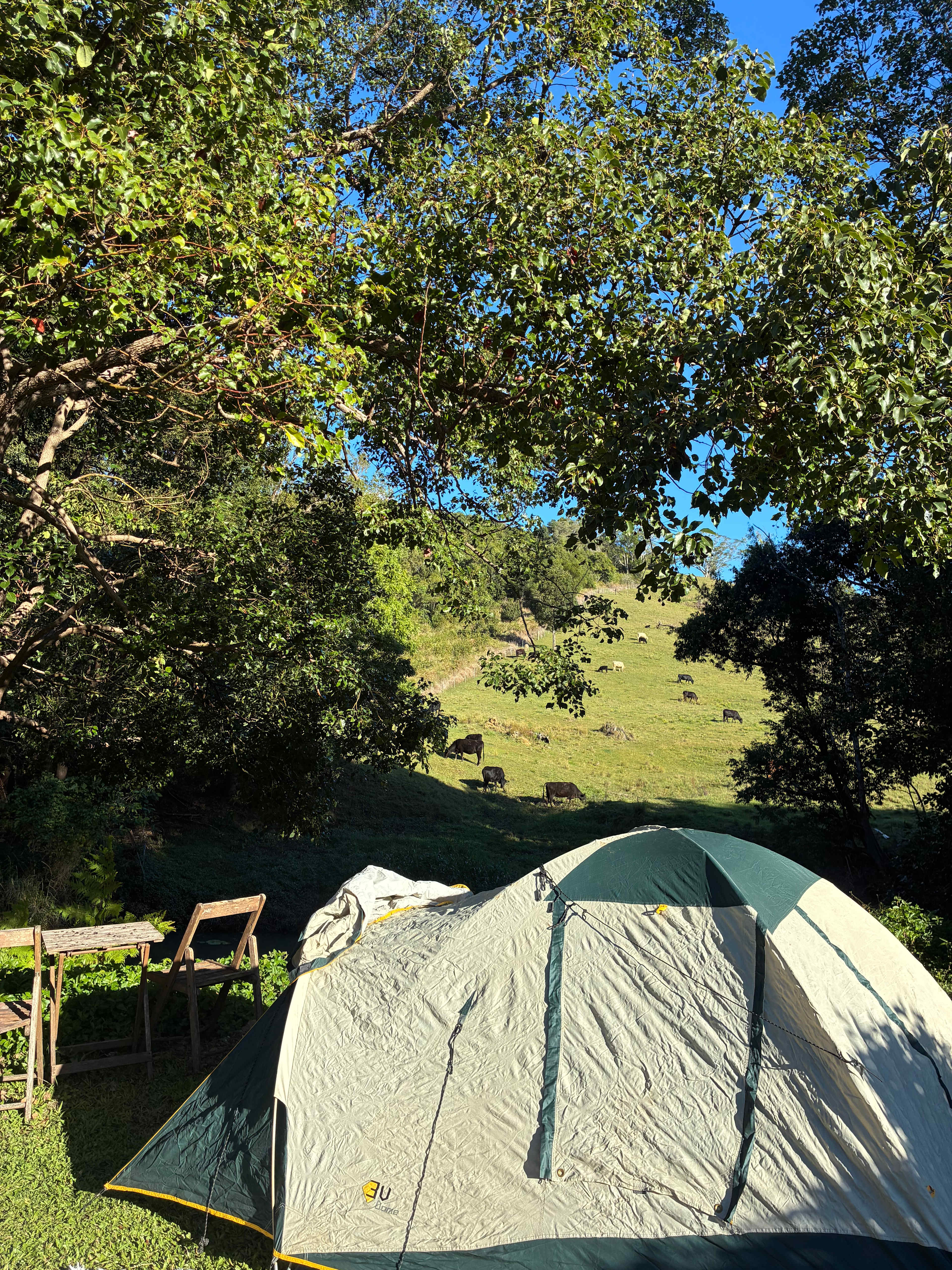 Amani Acres