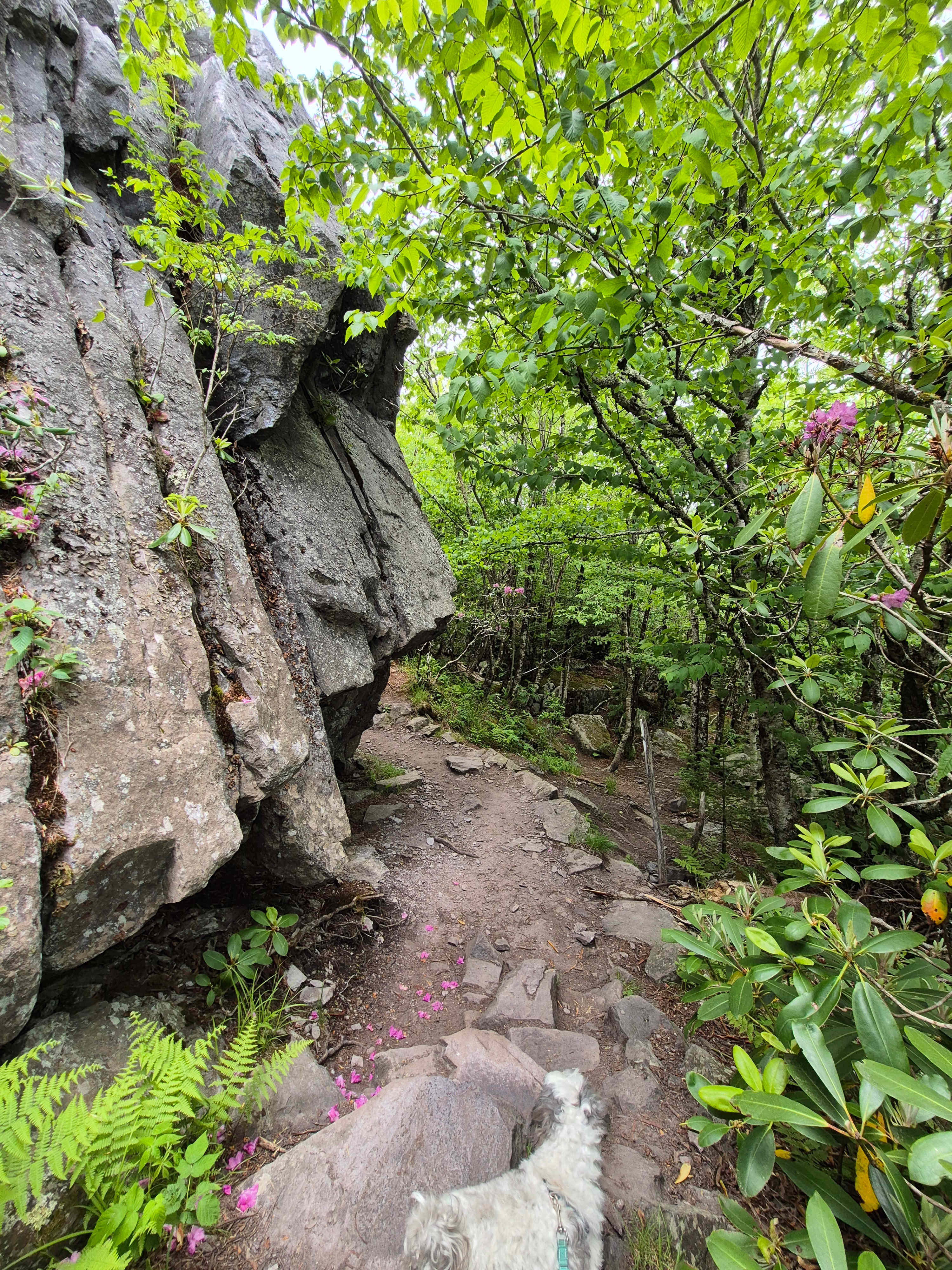 AT hiking close by