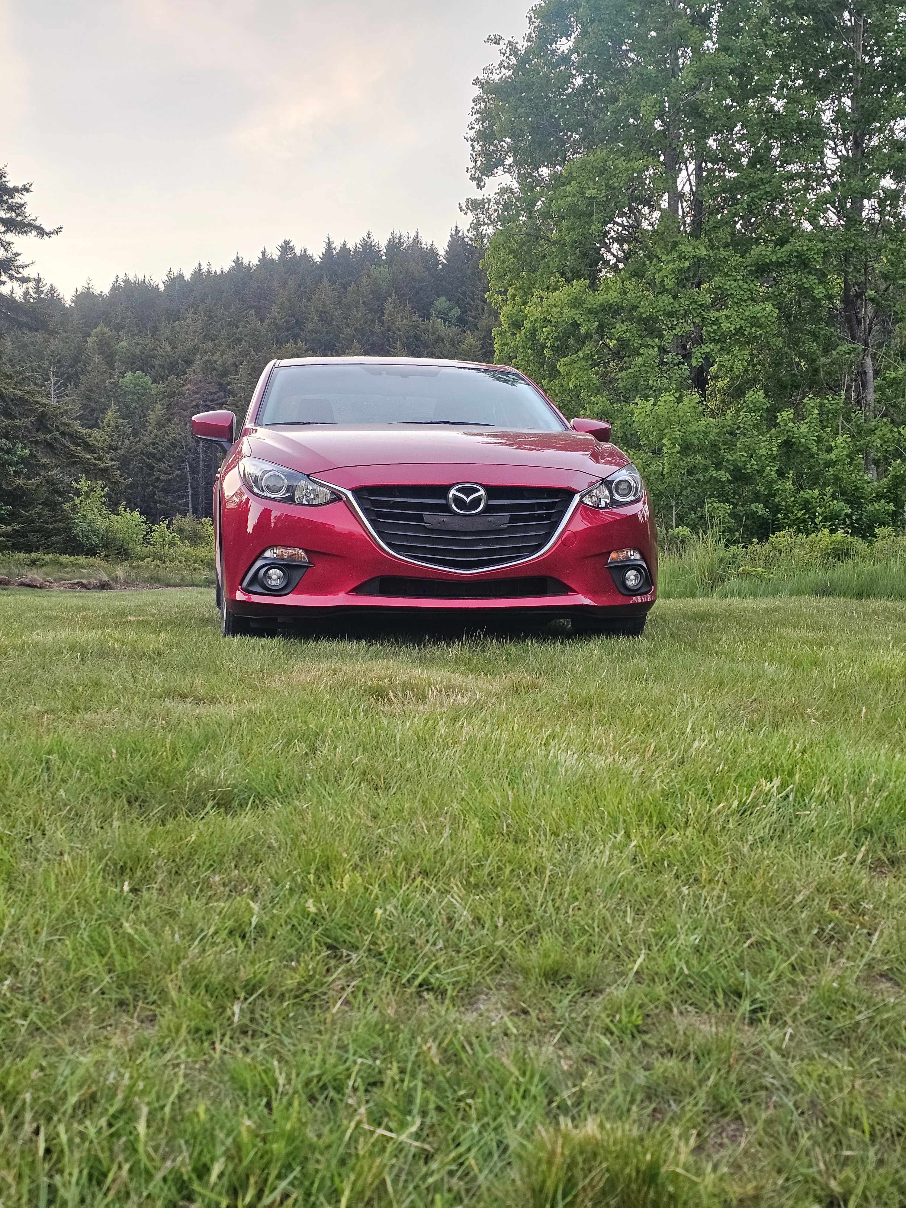 Campsite#1
