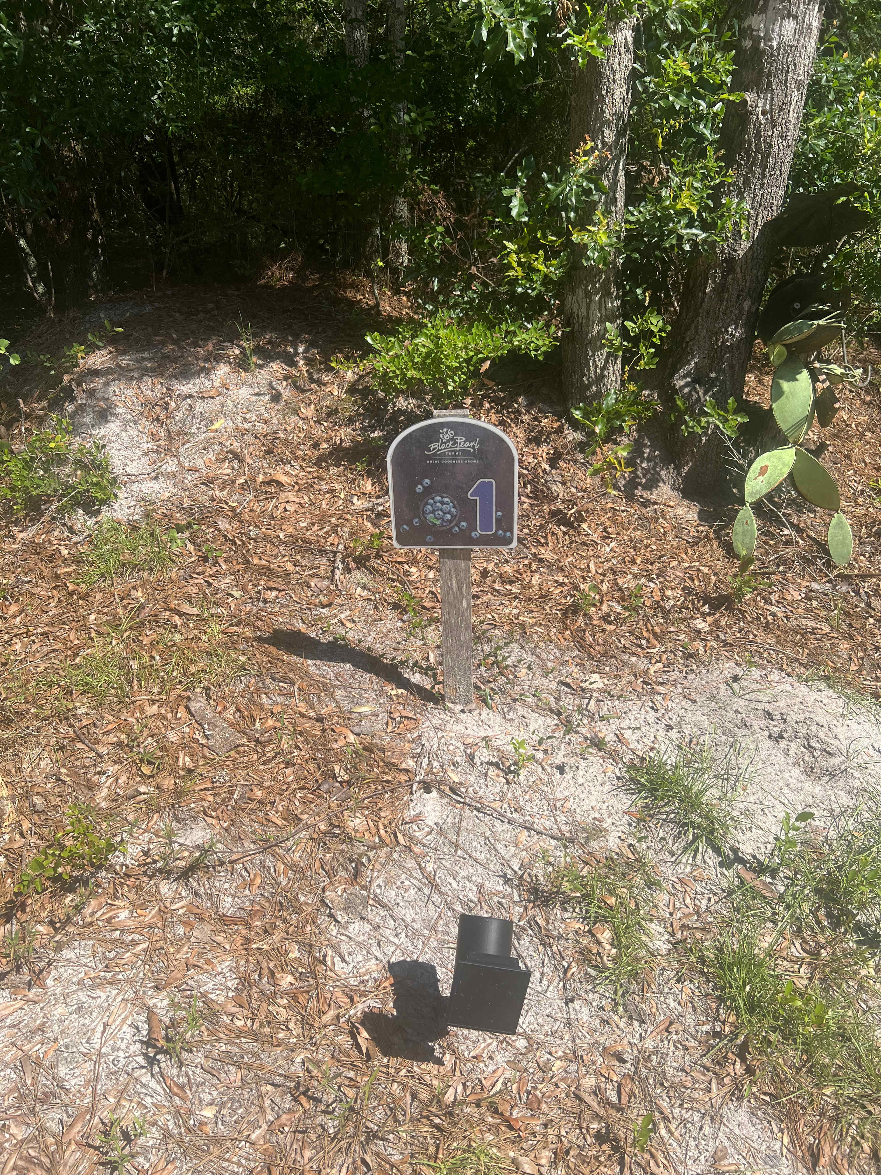 Conveniently posted posted markers