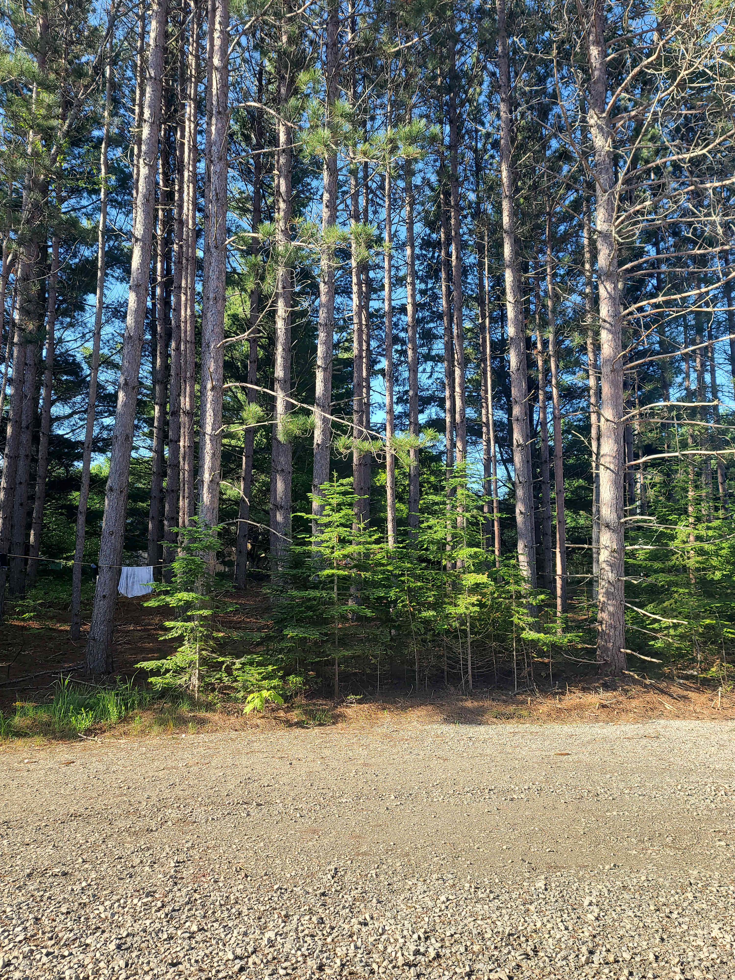 View from my camper window