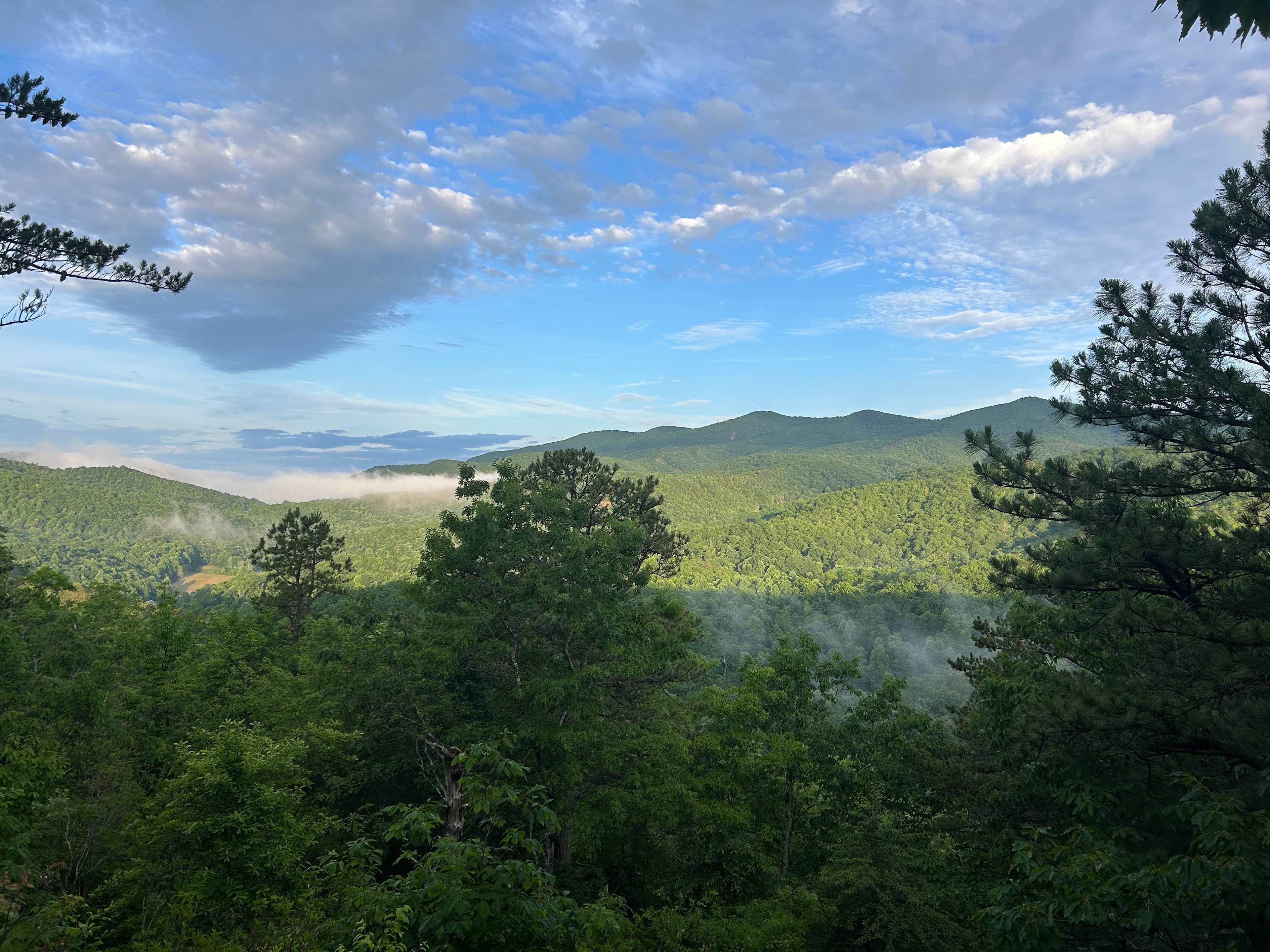 Above the Fray Glamping, Black Mtn.