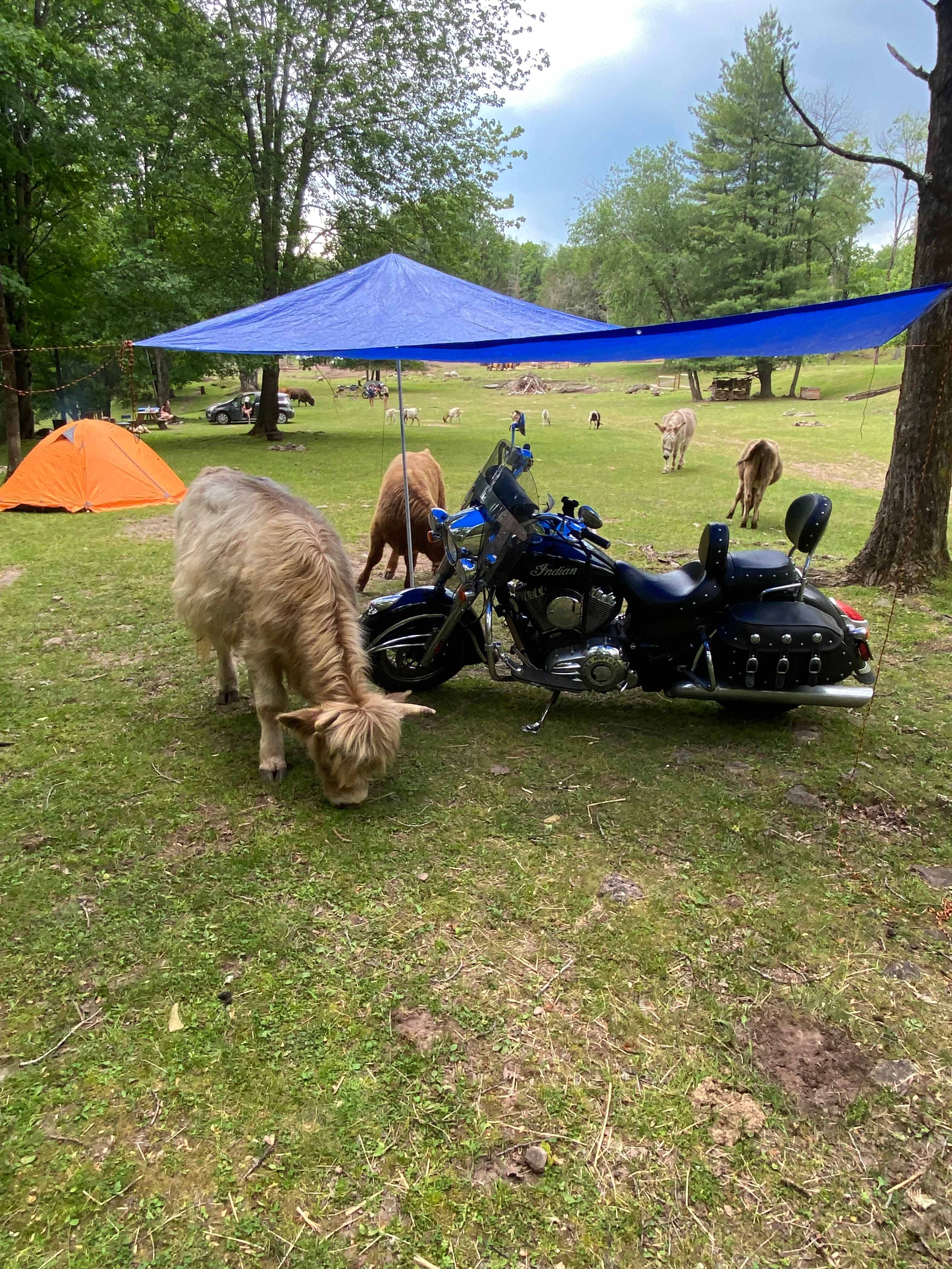 Gentle around the bike