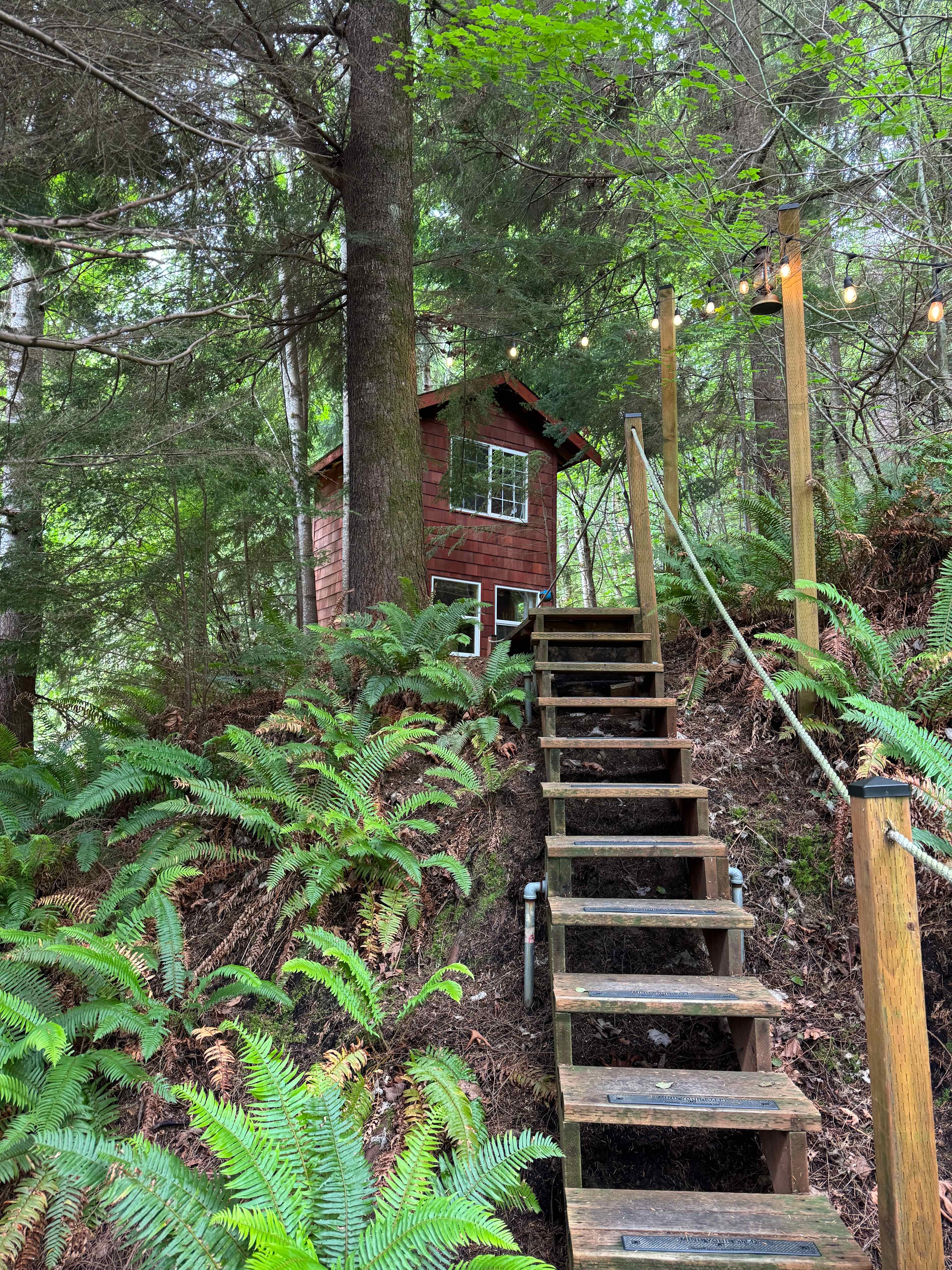 Treehouse Place at Deer Ridge!