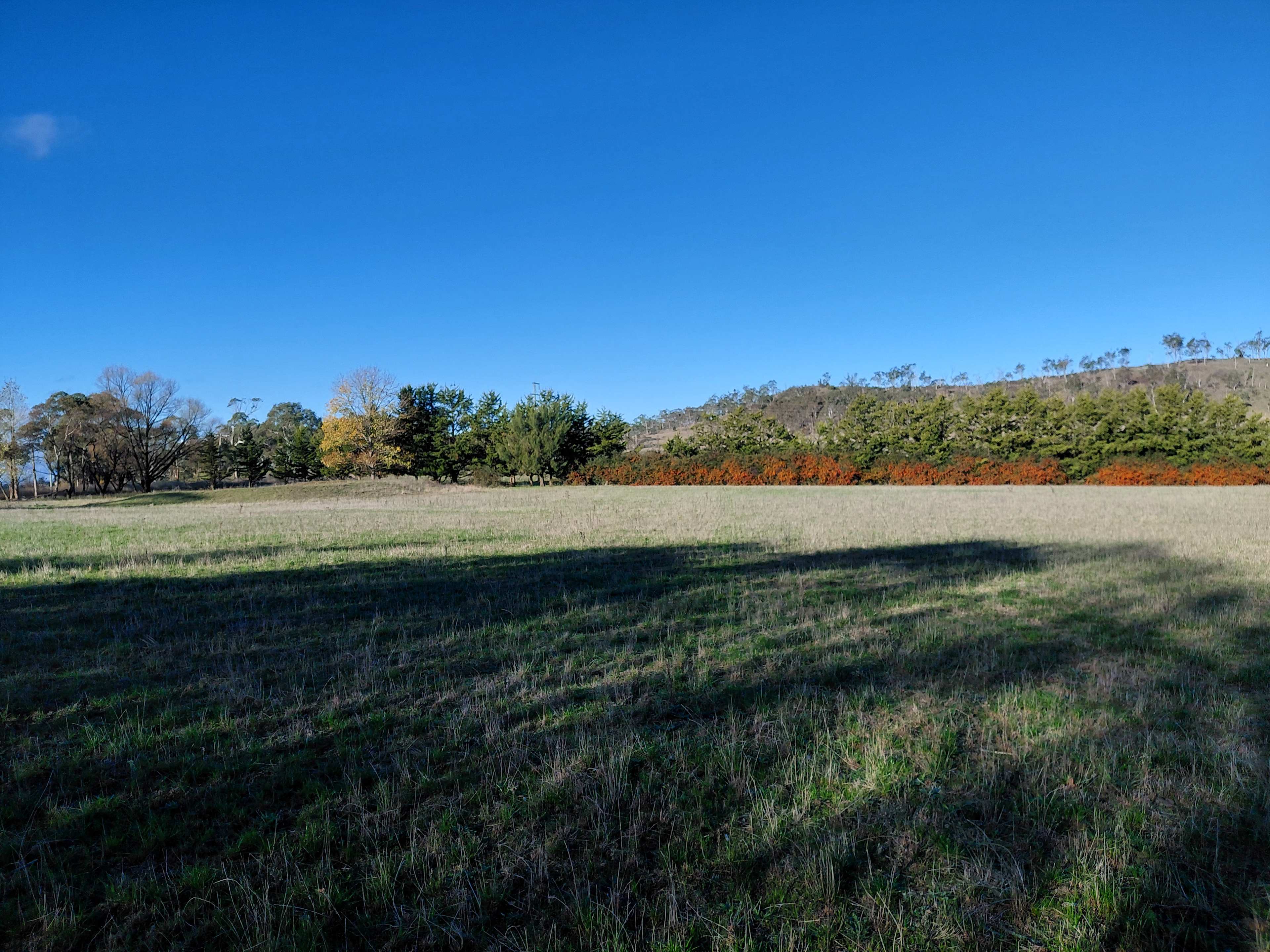 Pleasant Pastures