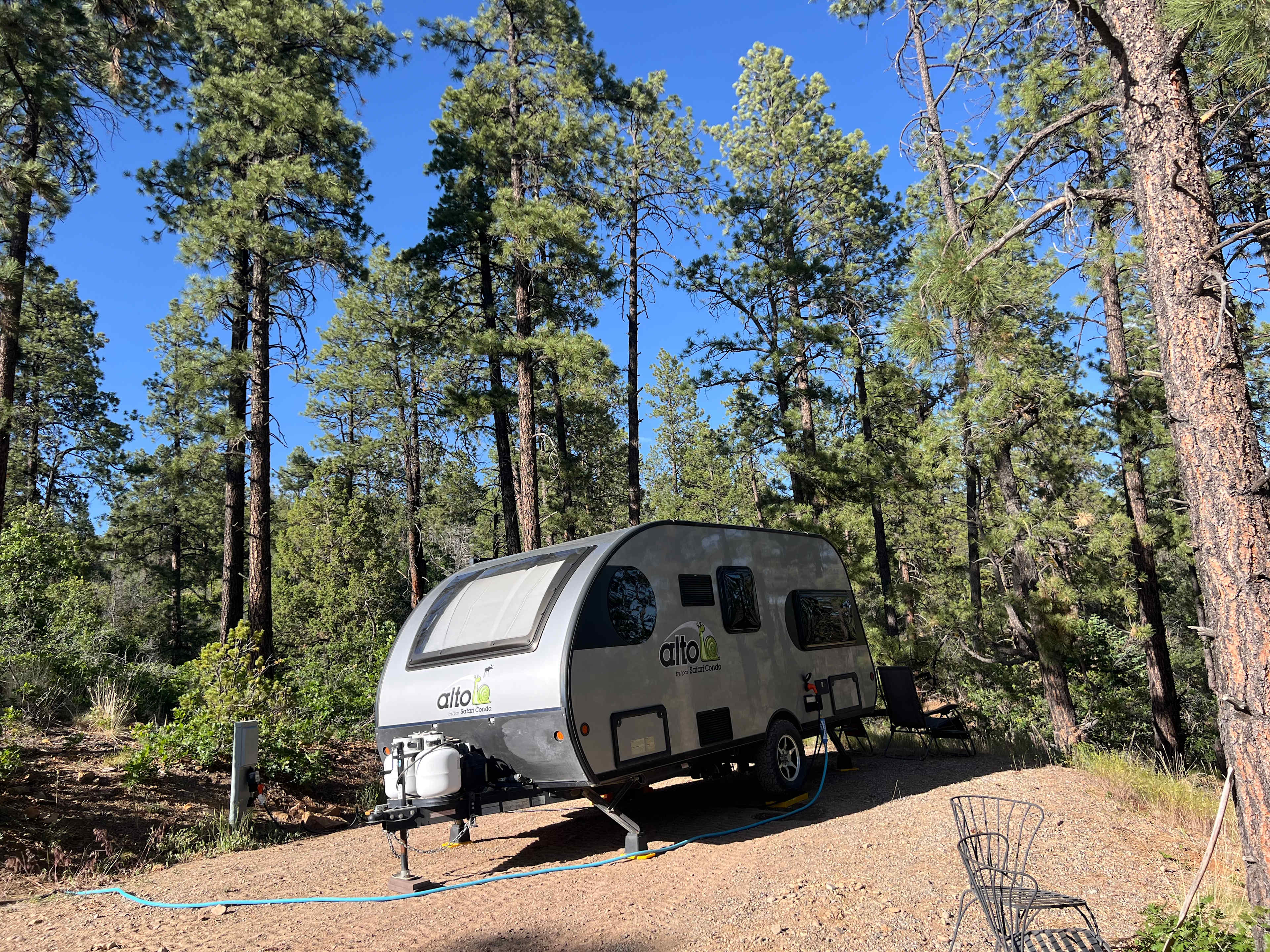 Bear springs