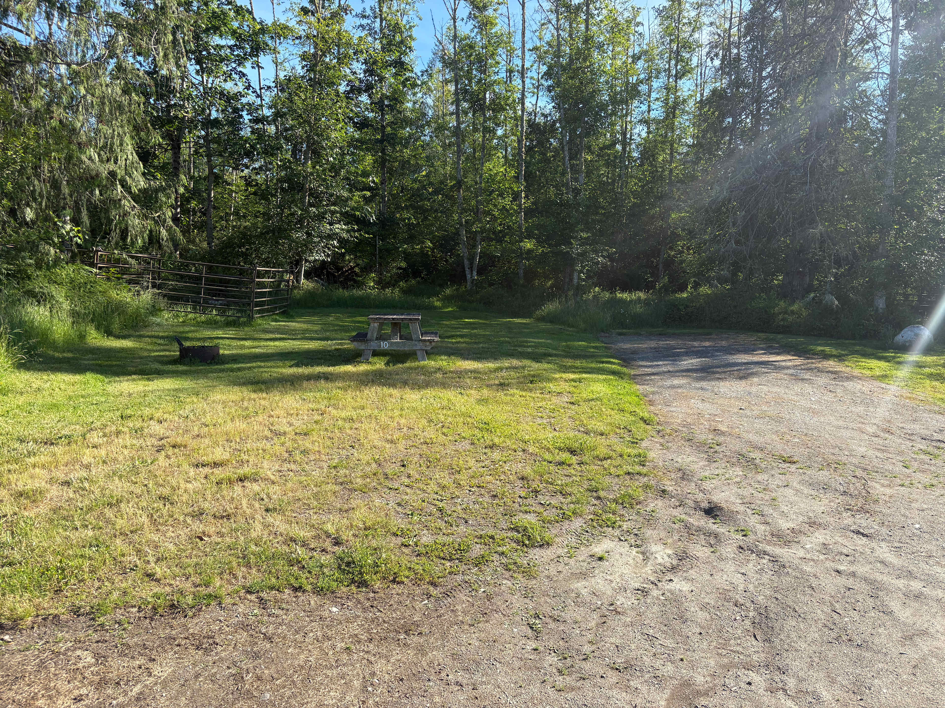 Picture of the site