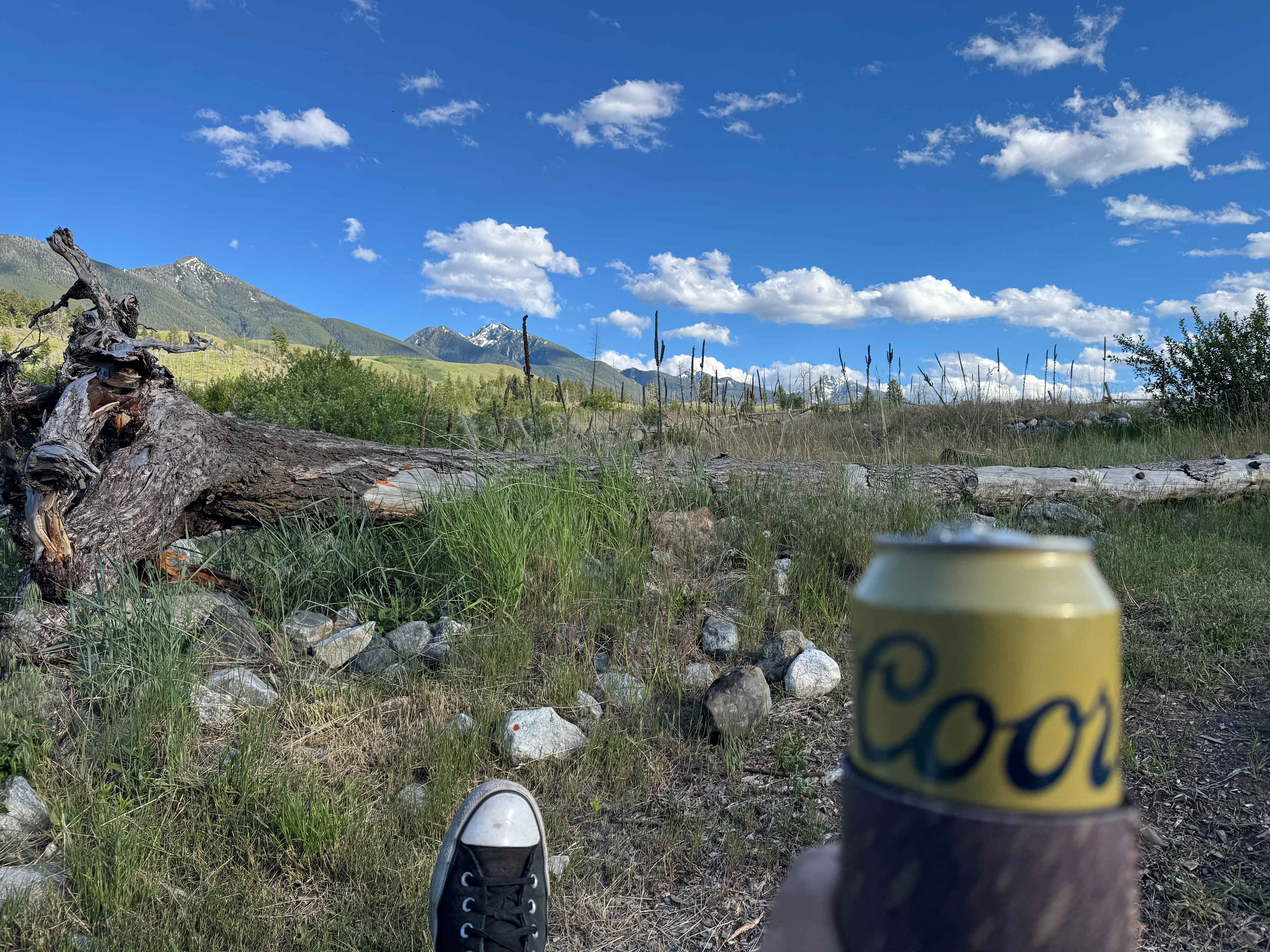 Jammin Jackalope Camping