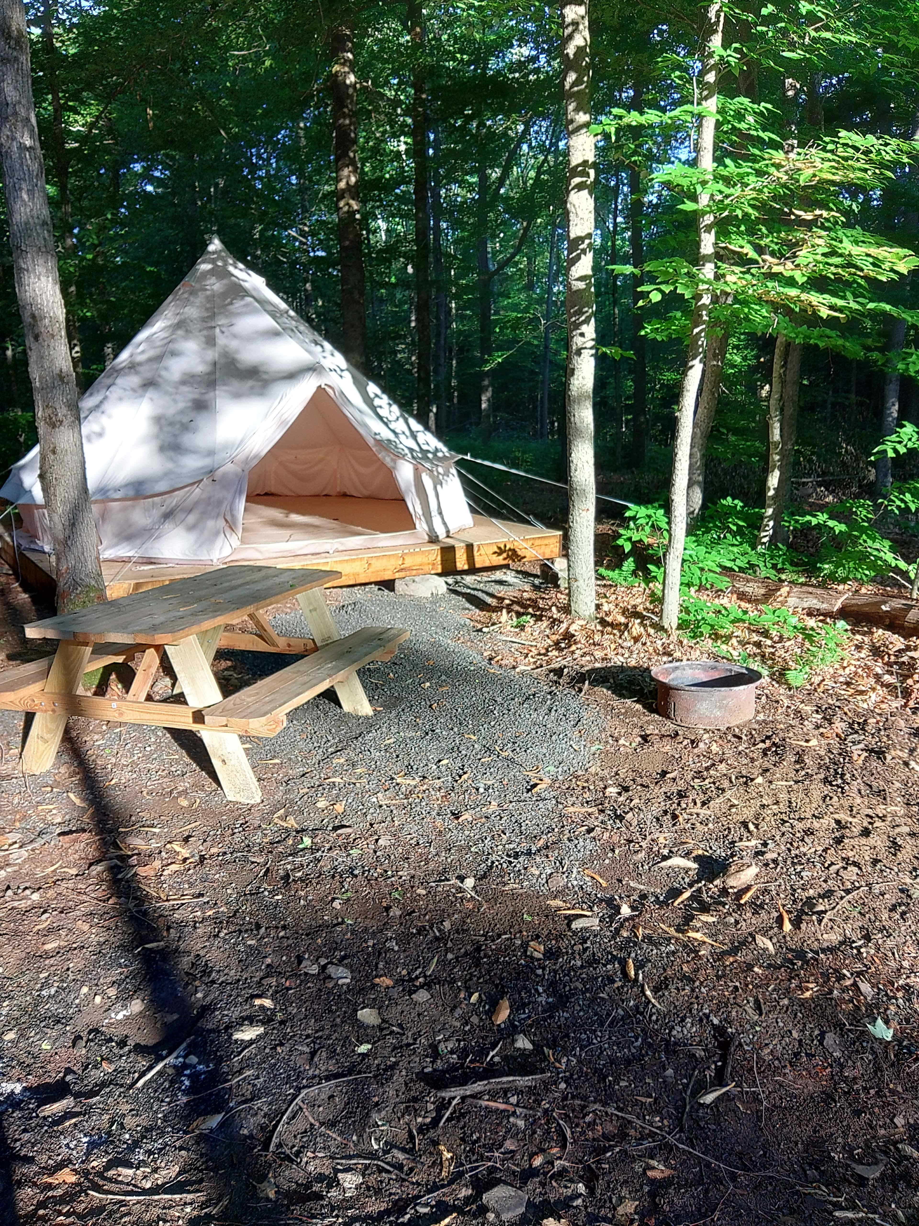 Picture of the site