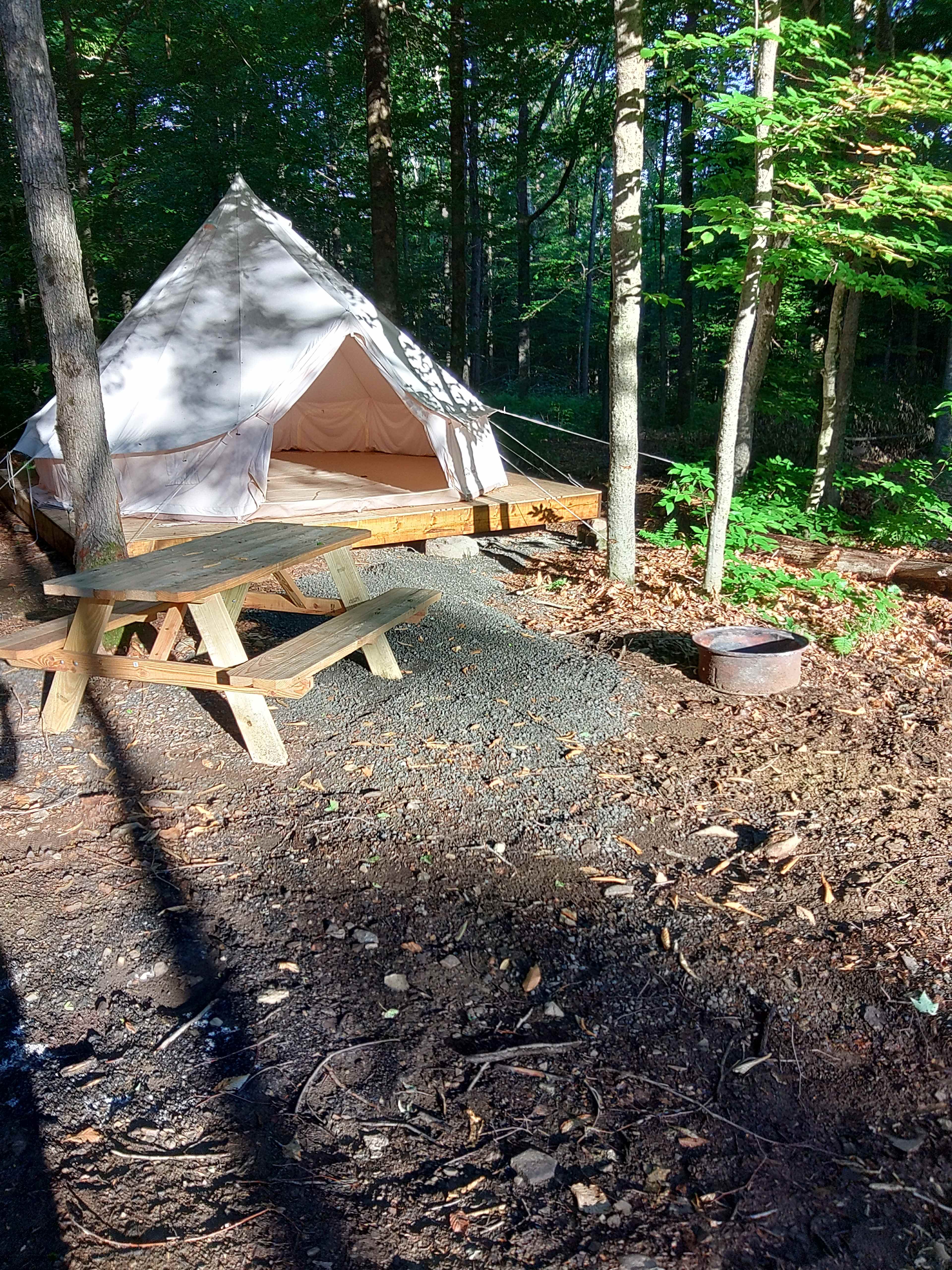 Picture of the site
