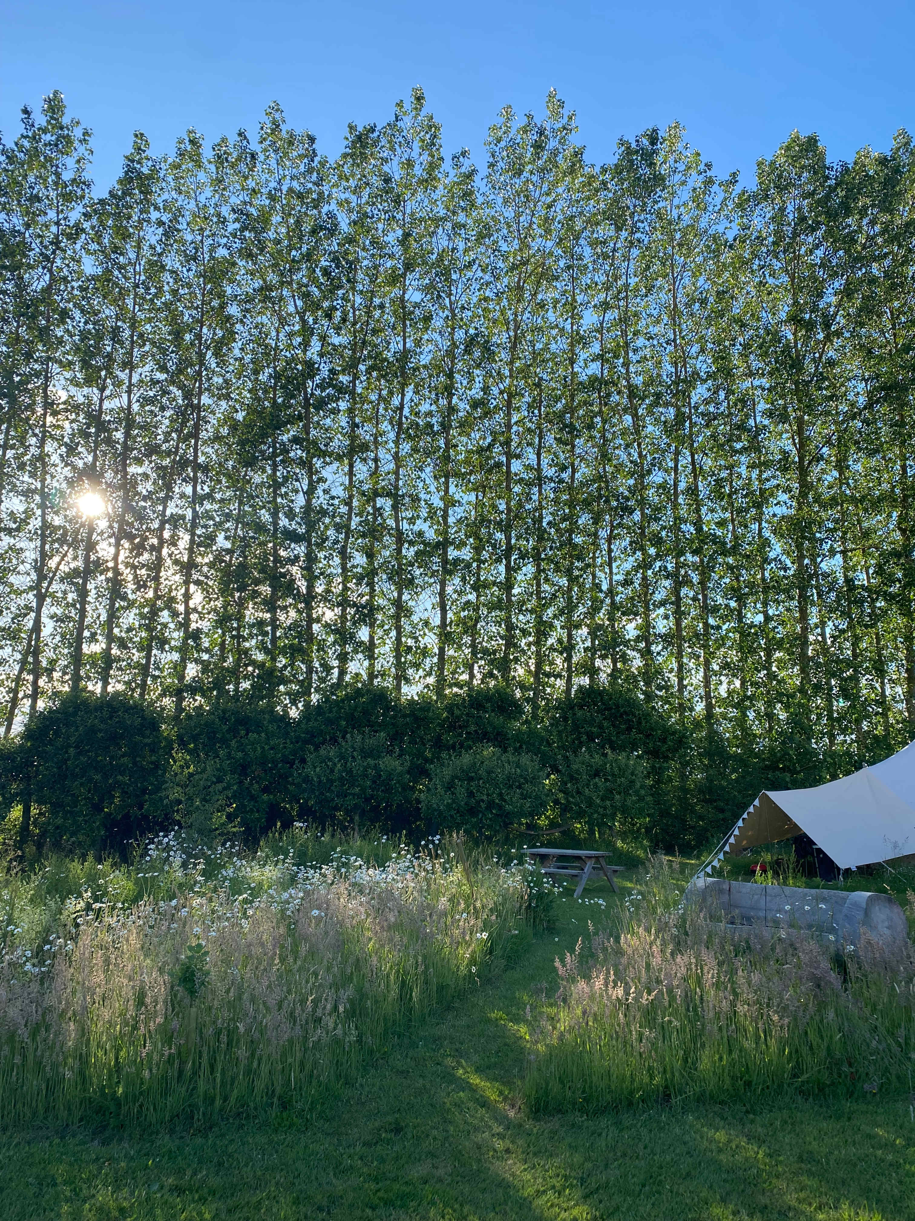 Brakehill Lodge Farm Camping