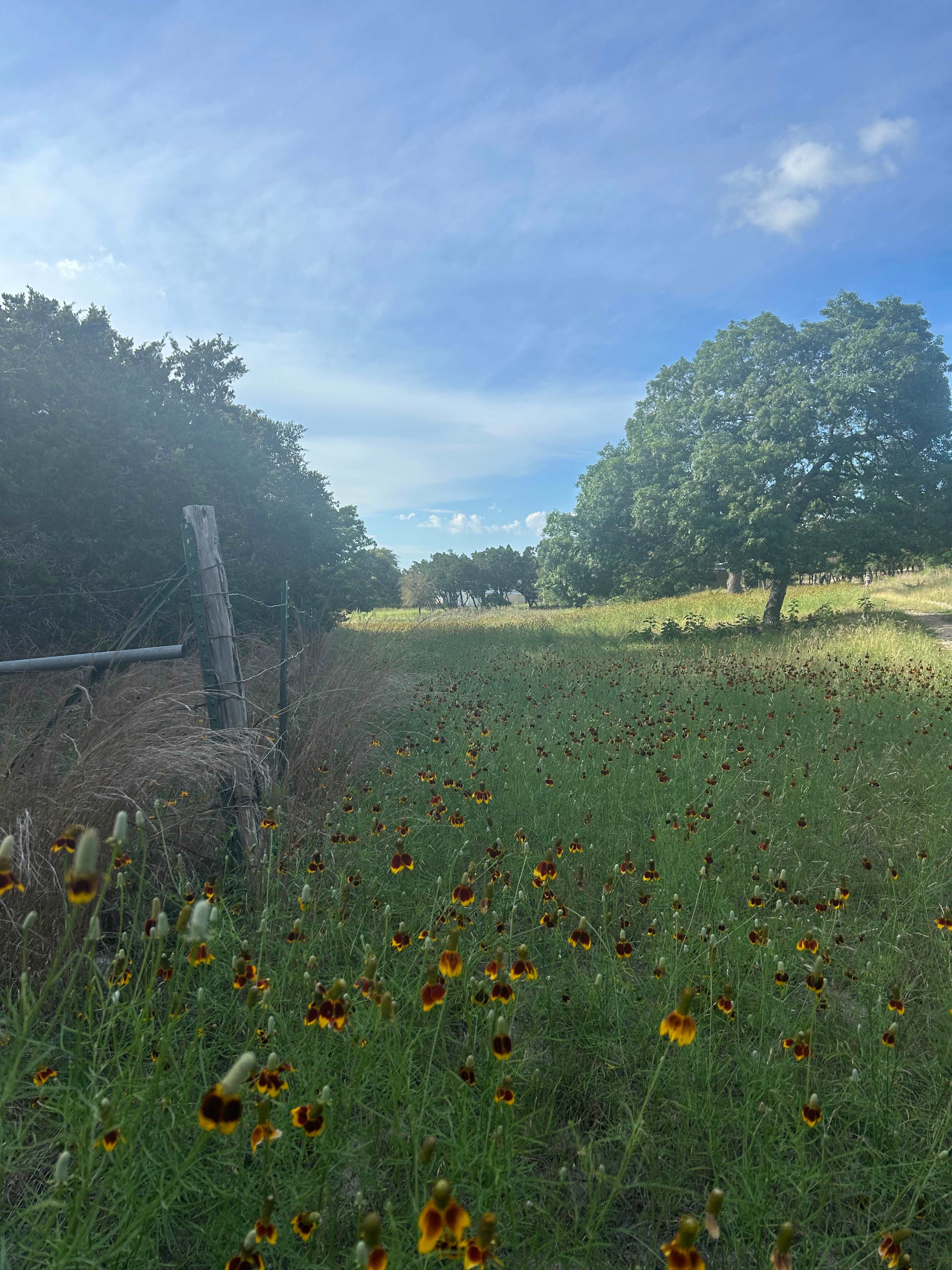 The Charmadillo: Glamping Resort
