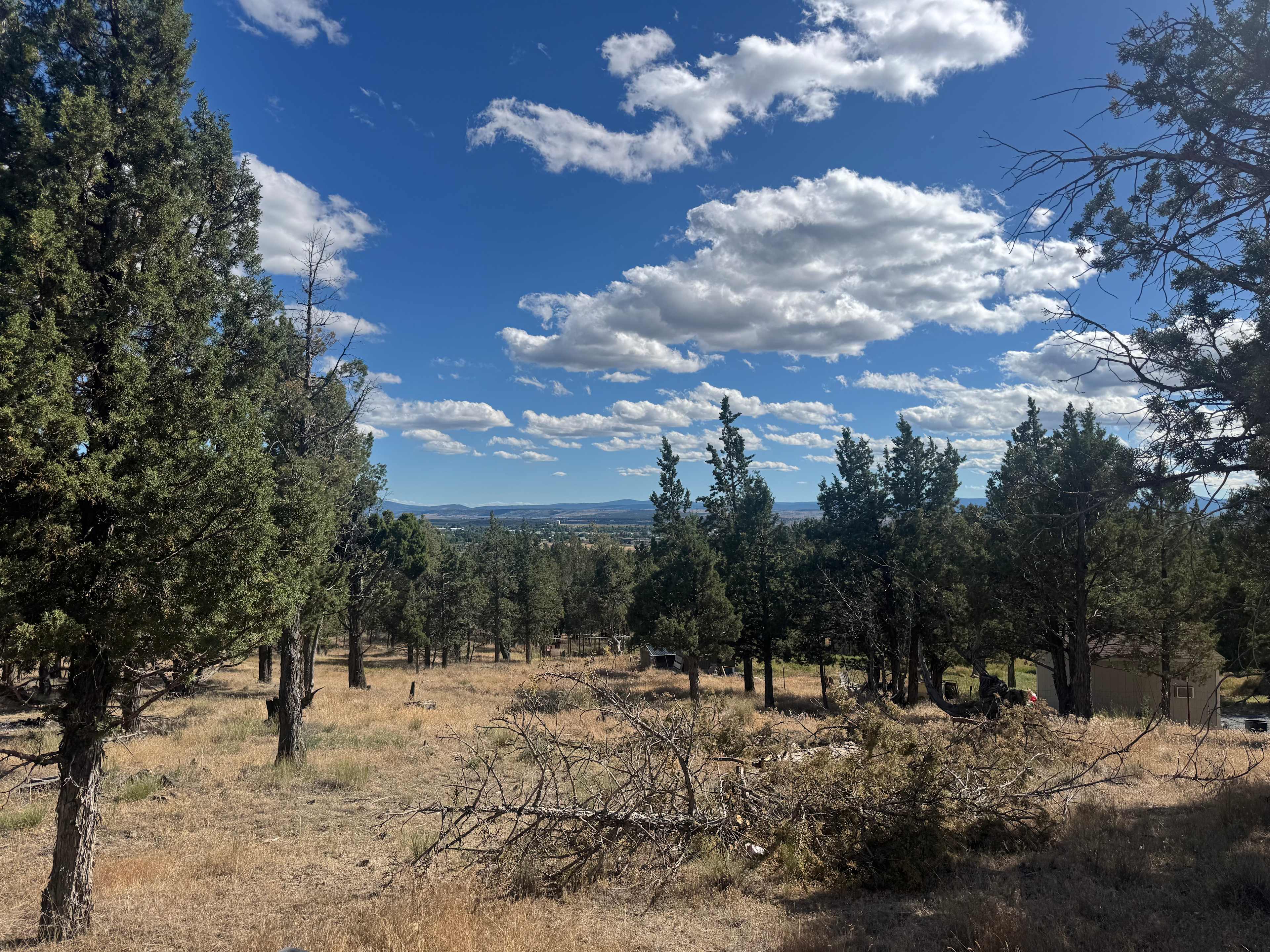 Camp Freedom