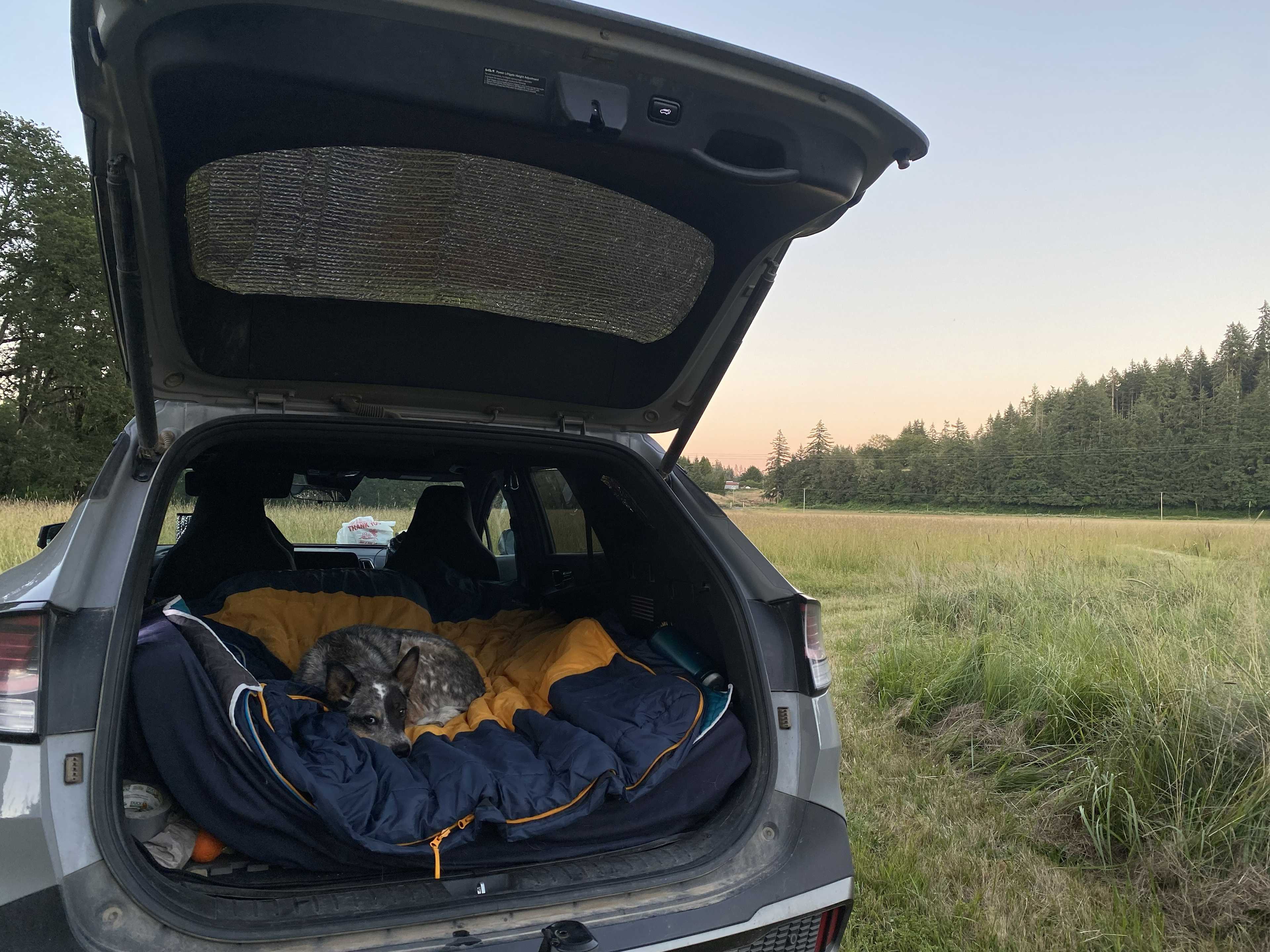 Coyote Camp