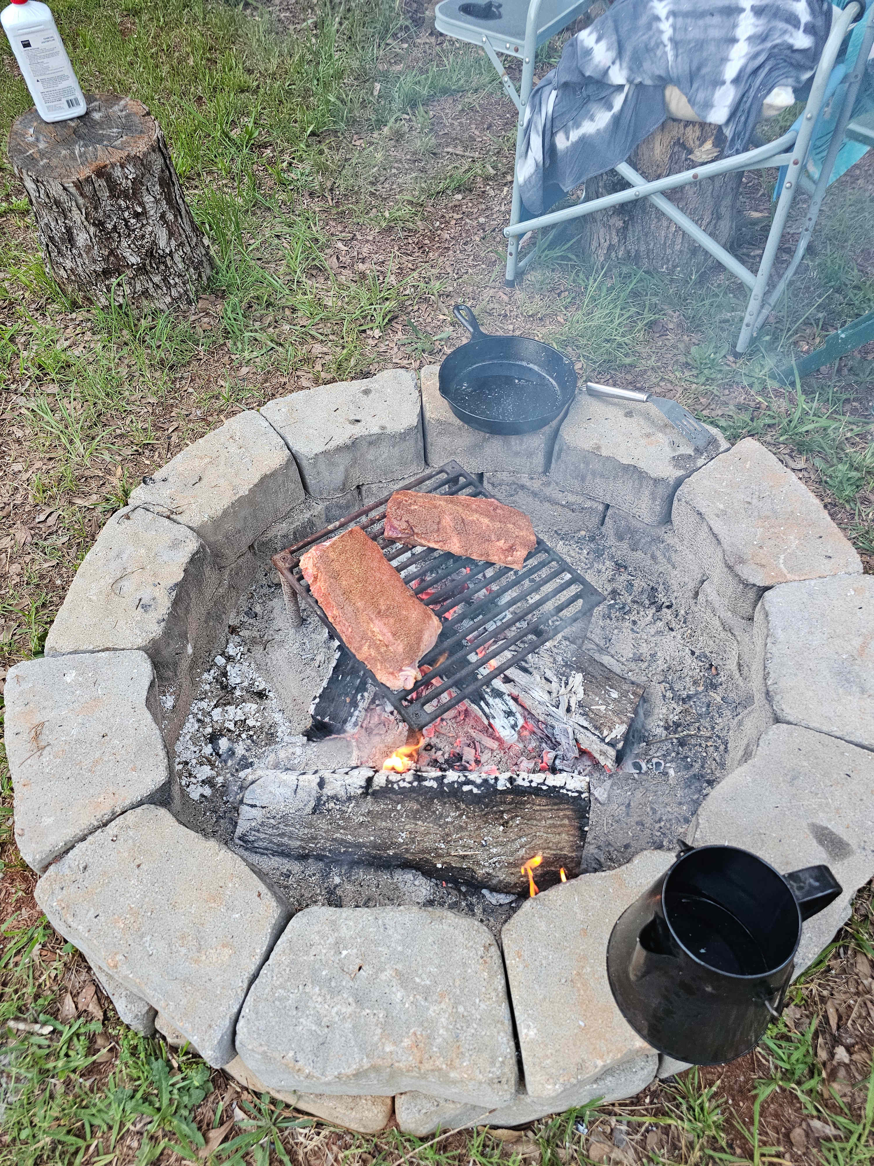 RIBS!