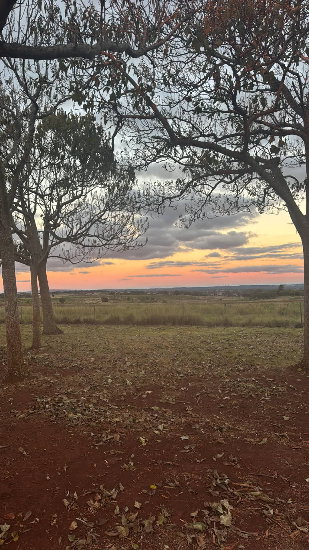 Bunya Red Farm