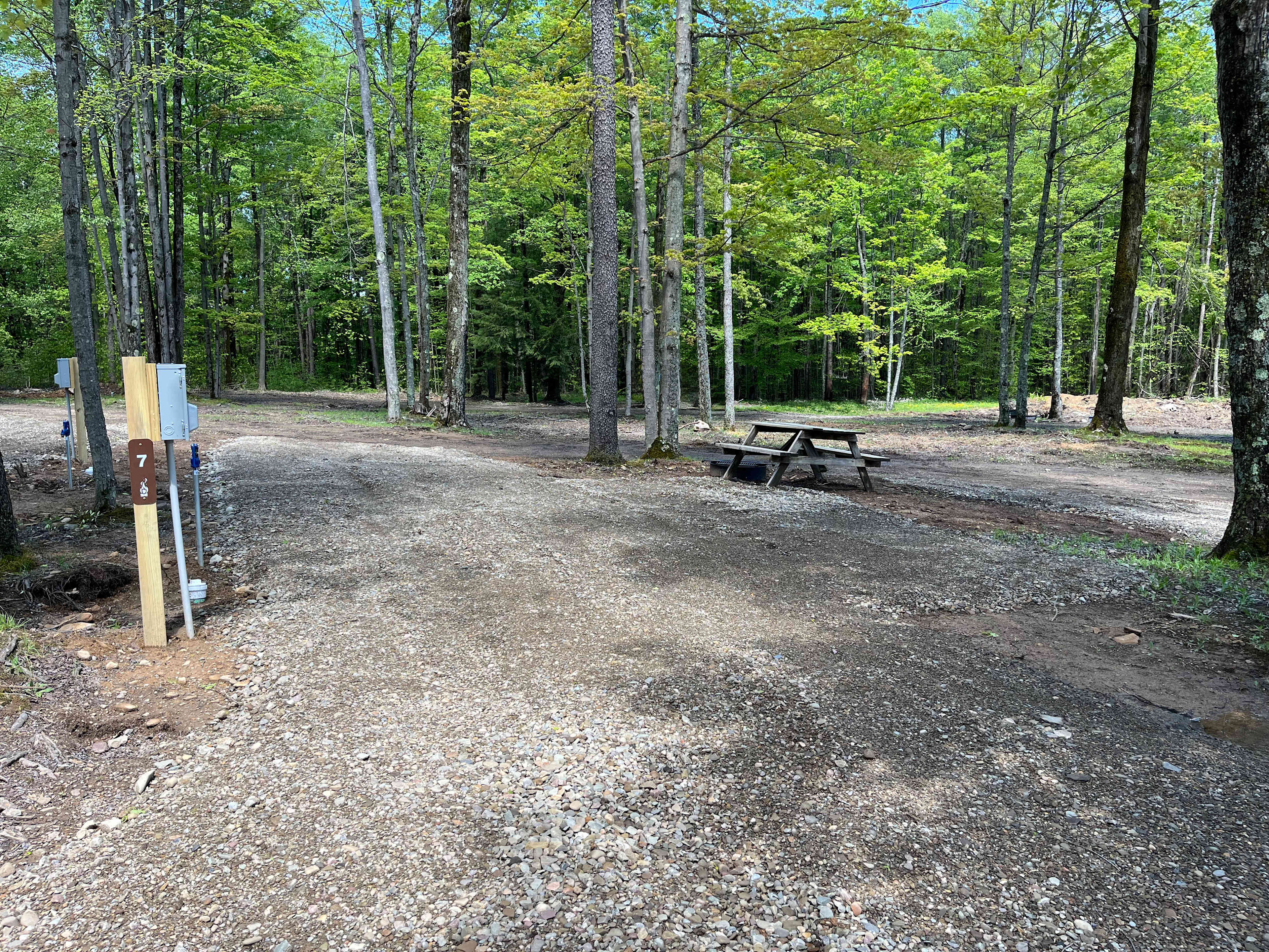 Picture of the site