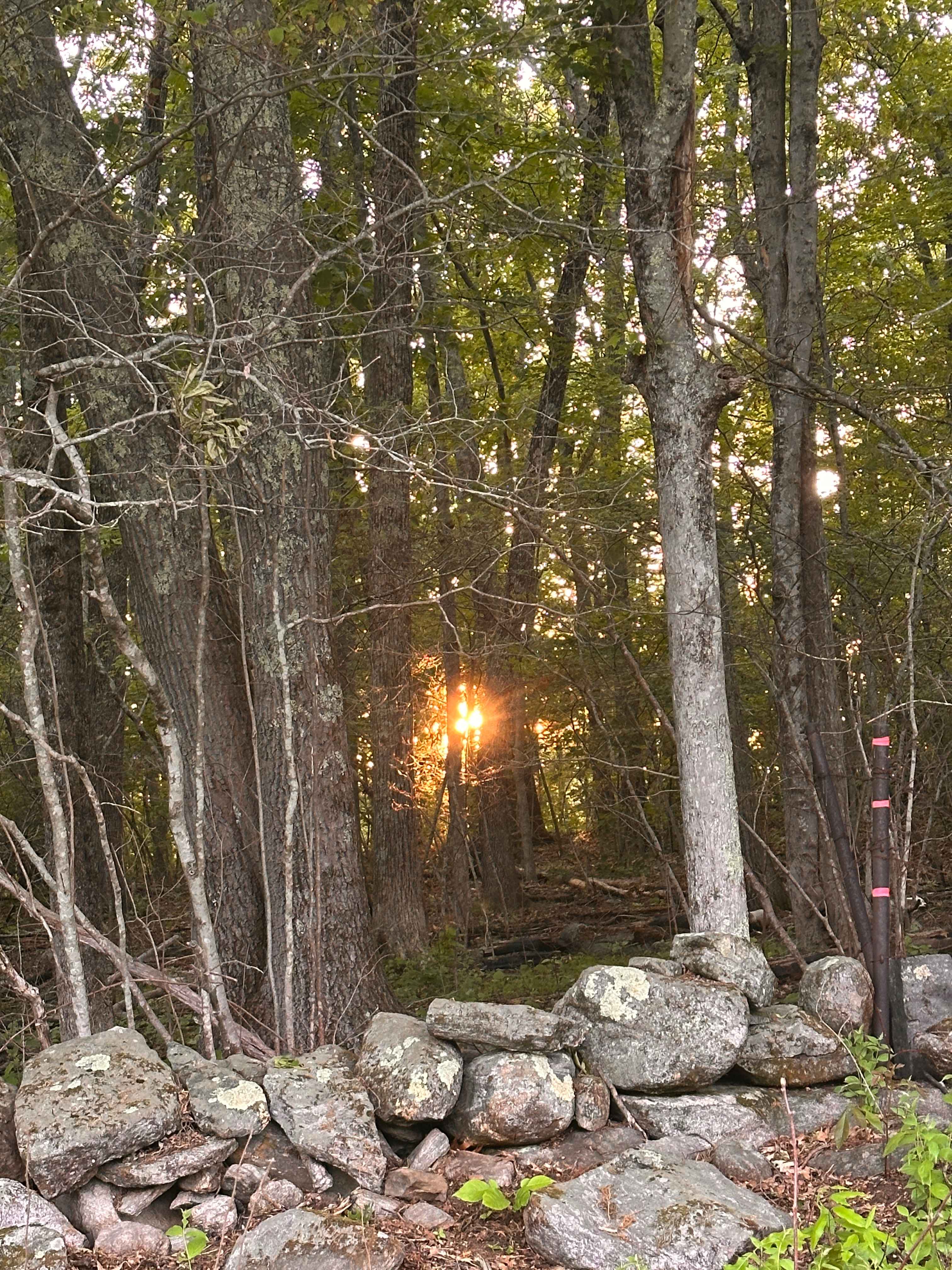 Goodfield Farm Rustic Camping