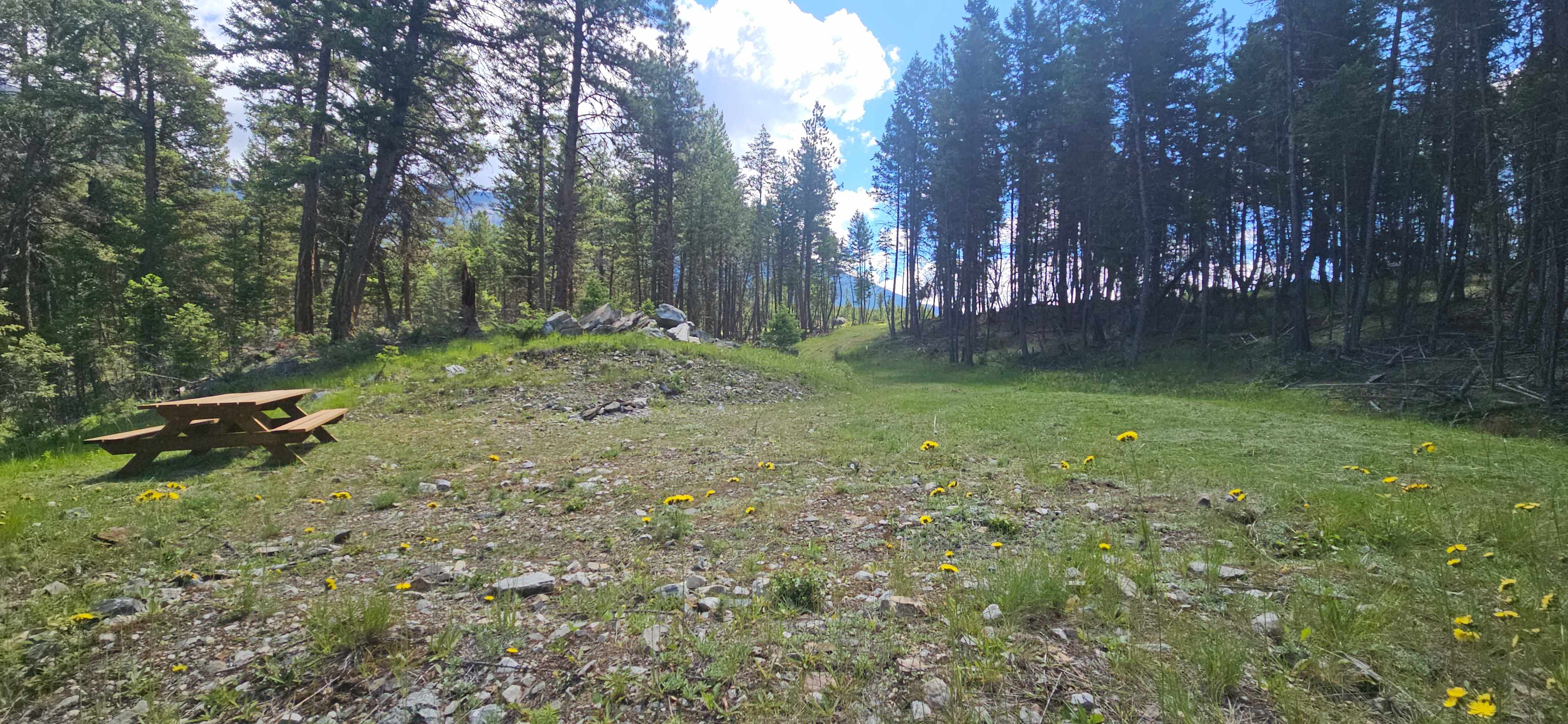Picture of the site