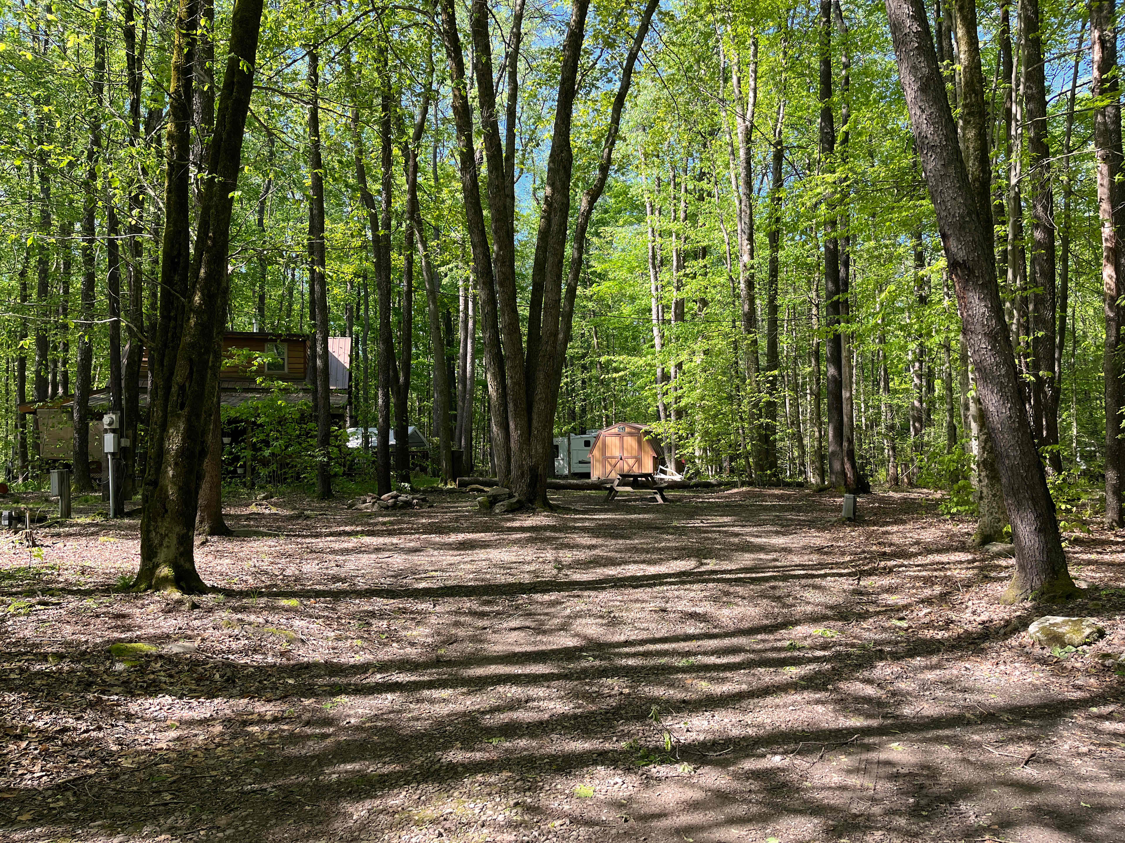 Picture of the site