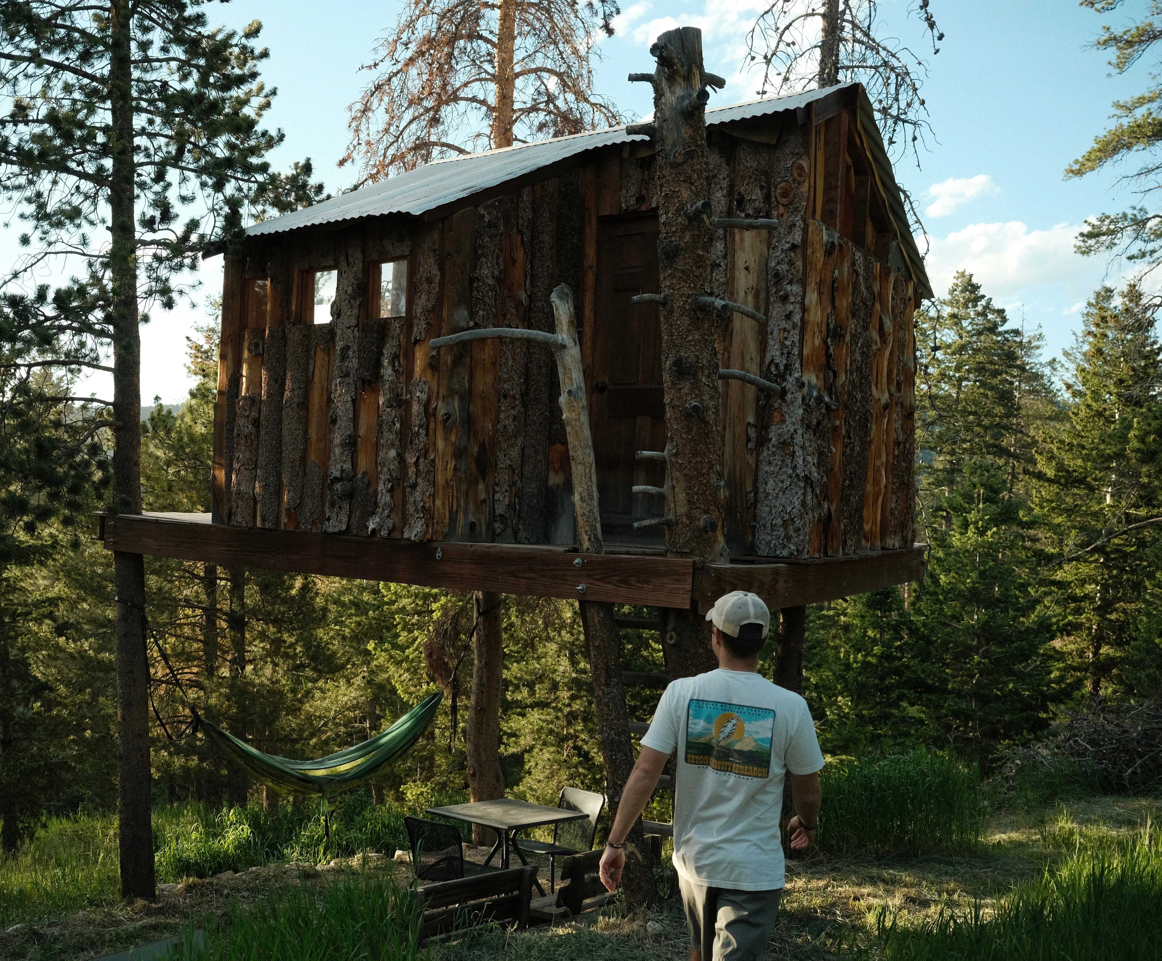 Gold Nugget Tree House + Cabin