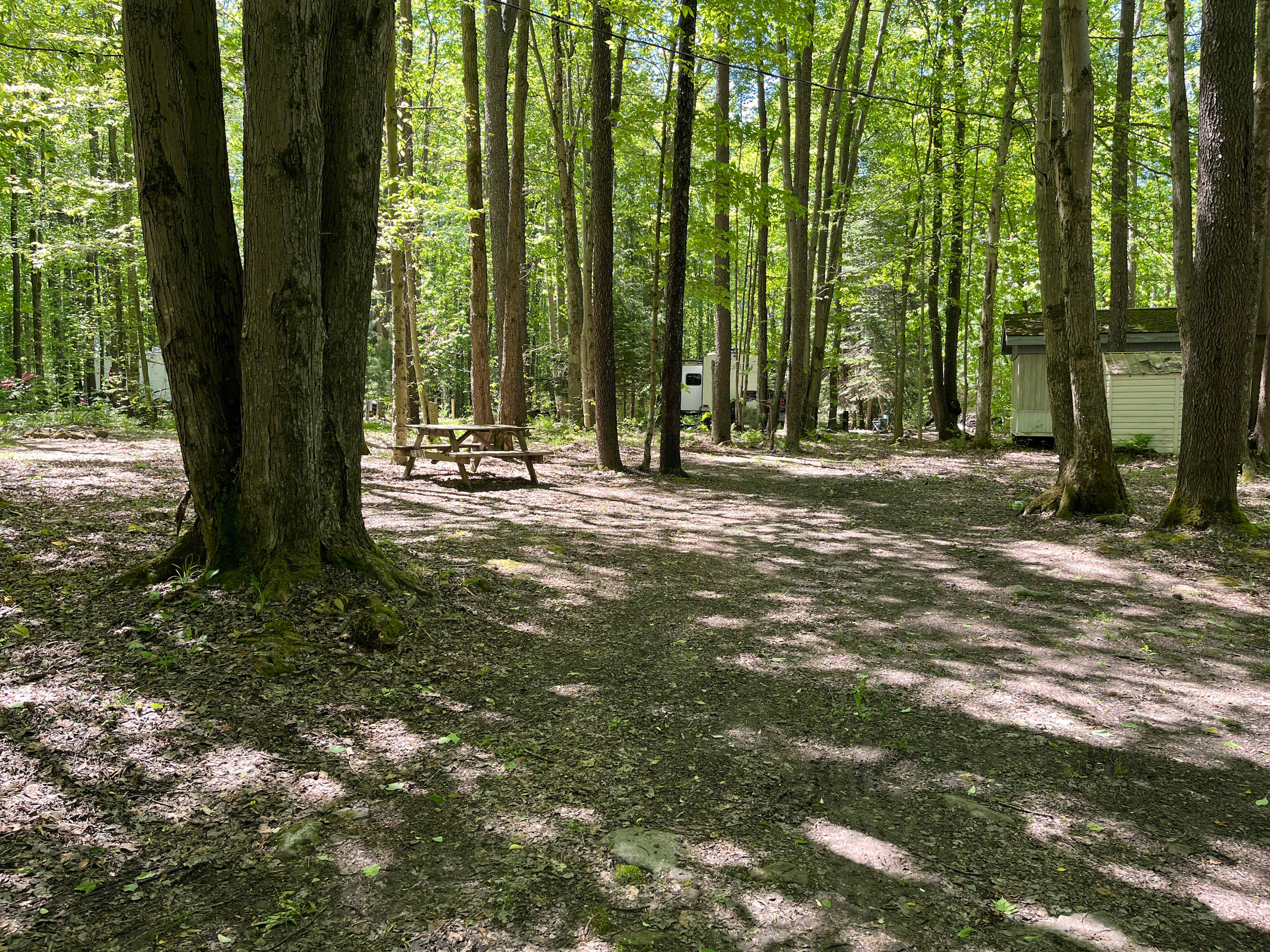Picture of the site