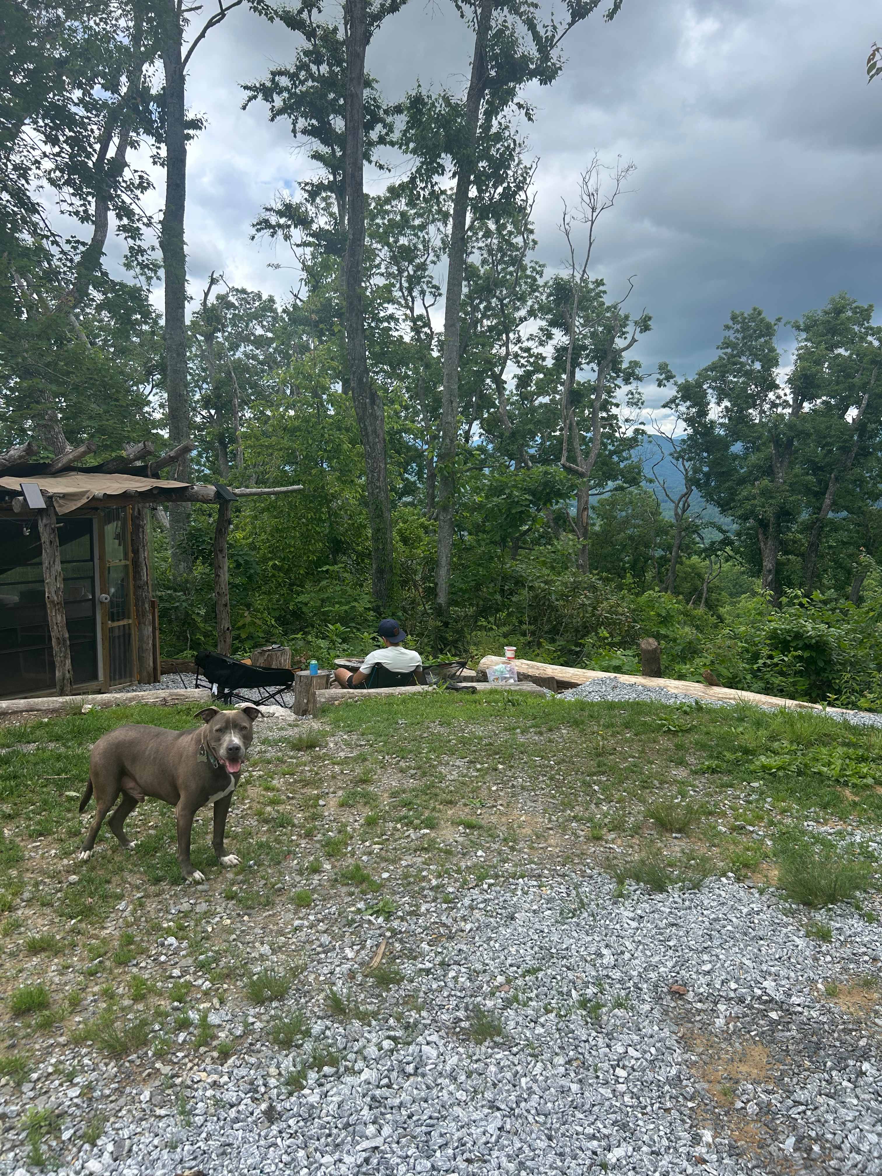 Barnhill Mountain in Fletcher, NC