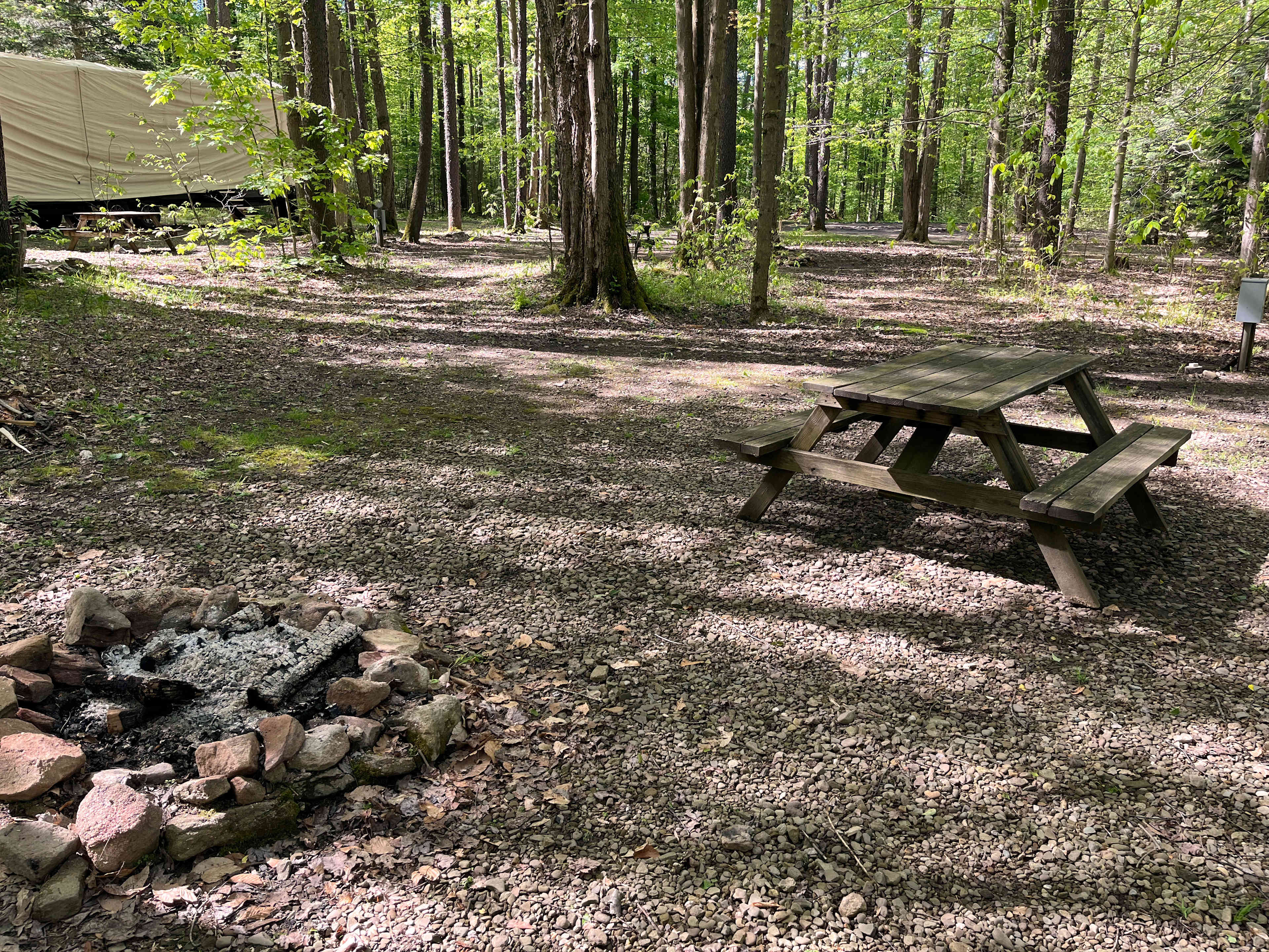 Picture of the site