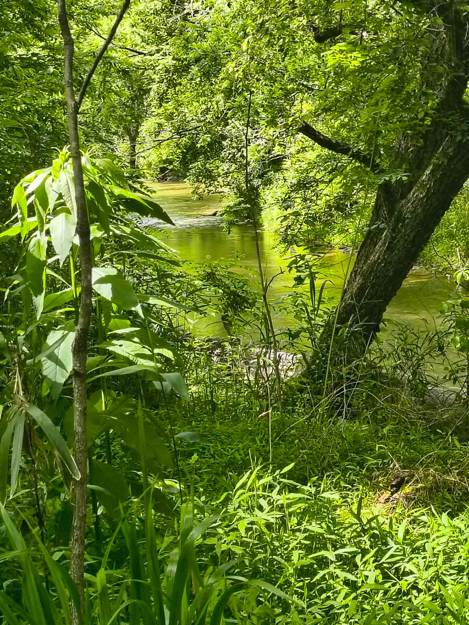 West Preserve