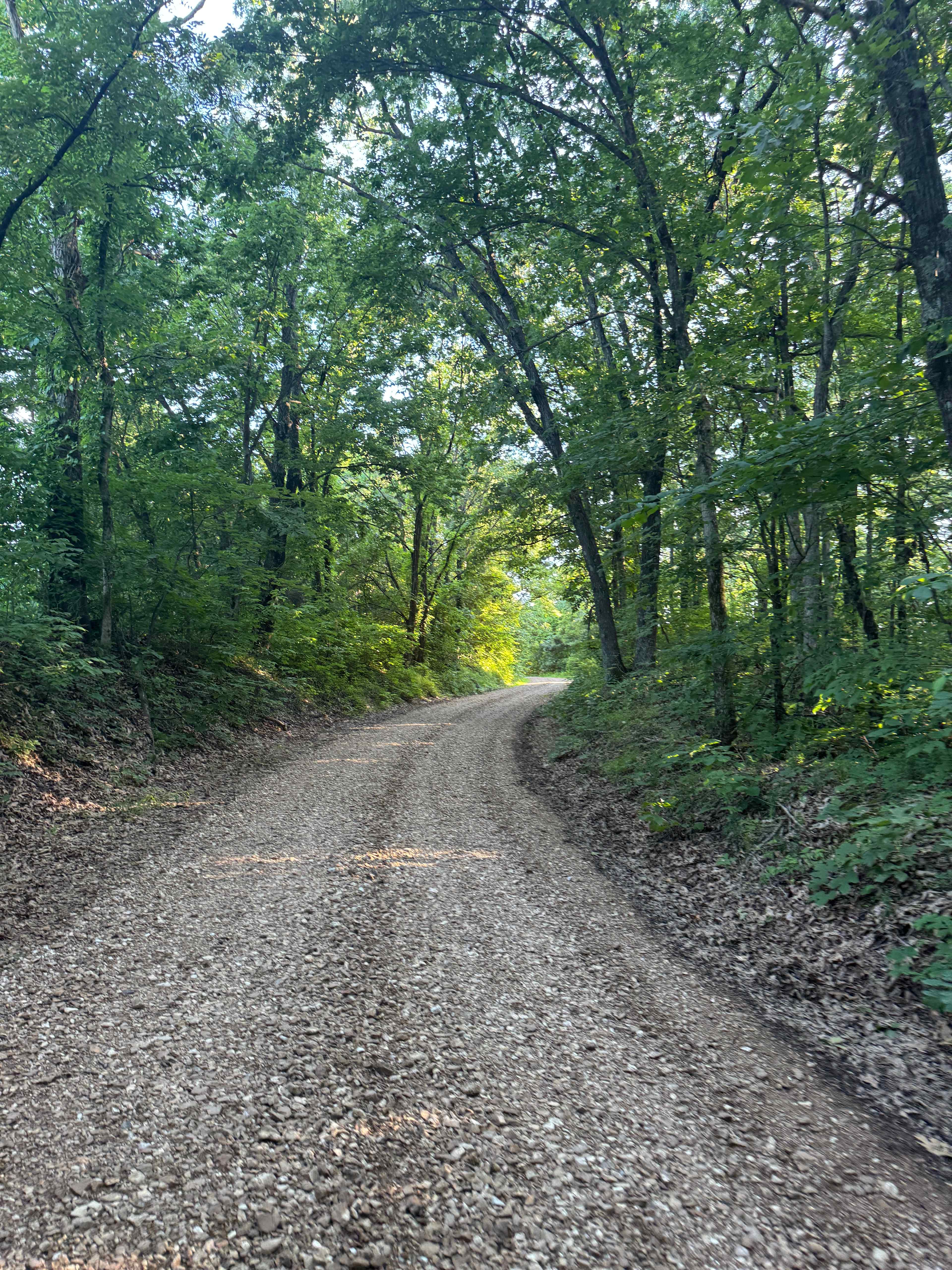 Selby Farm Camping