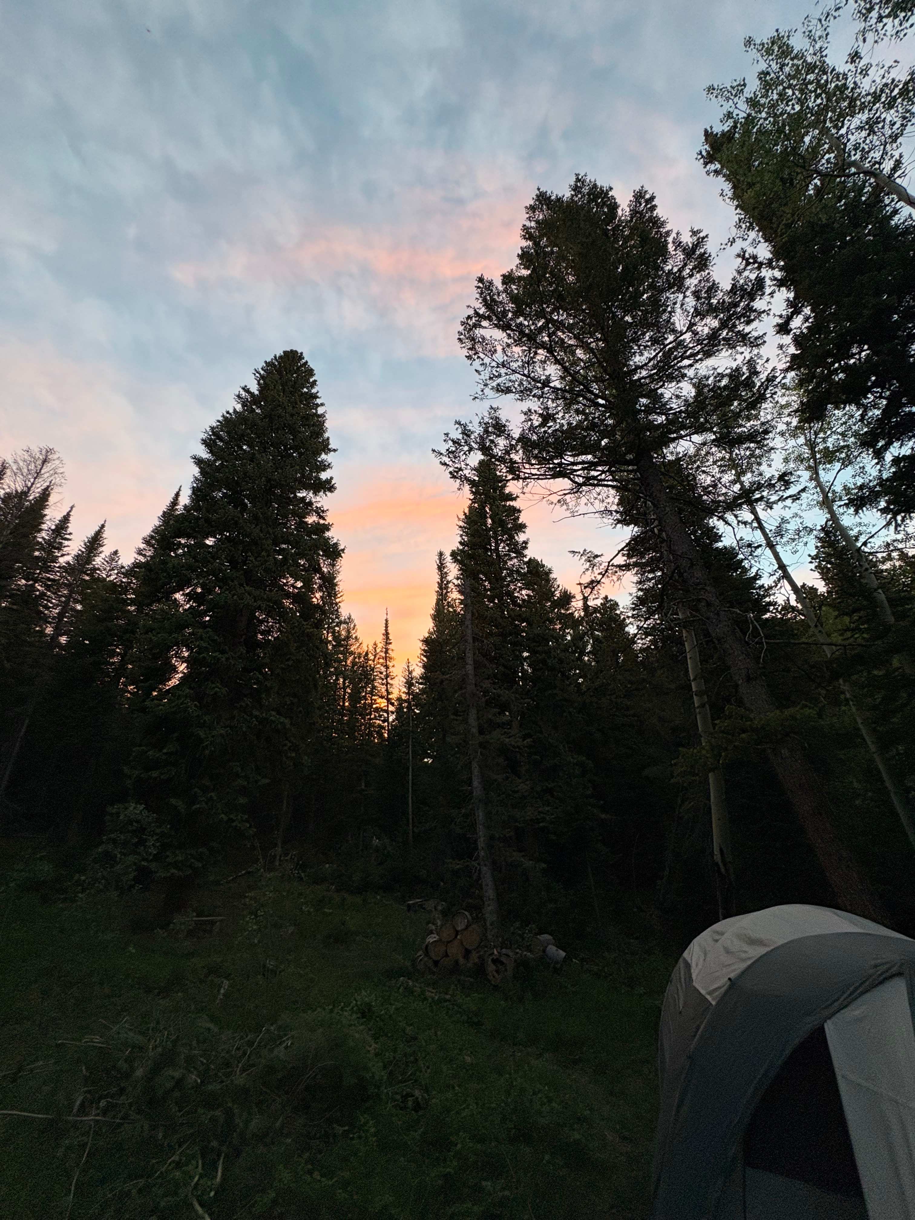 Sherwood Creek Camp and Glamp