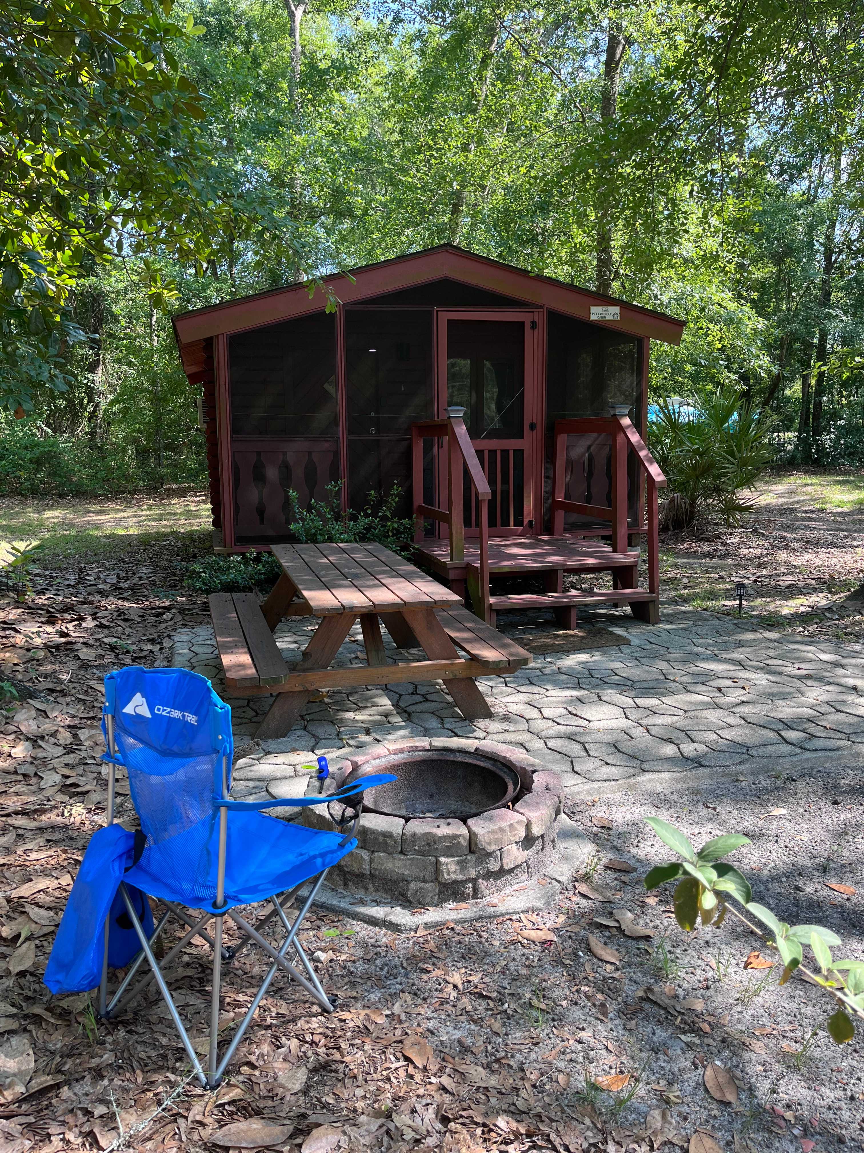 Squirrel Nest Cabin 4