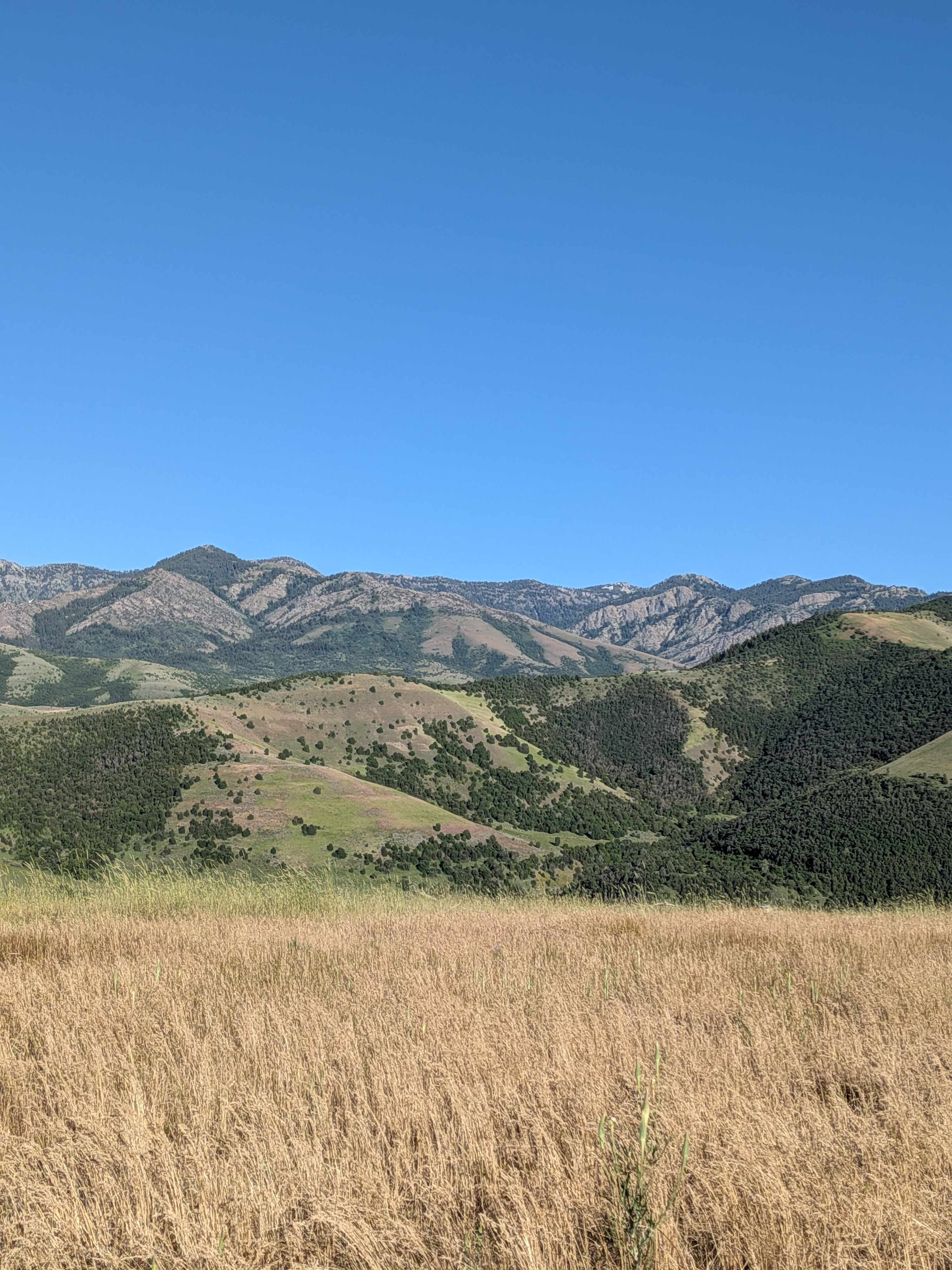 Mountain Top Getaways